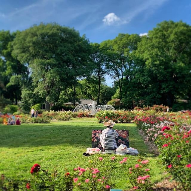 Such a treat to see an #artist #painting &lsquo;en plein air&rsquo; at Whetstone. What a beautiful scene of #serenity in the #Columbus #community #rose #garden&mdash;a vista of #peace and #tranquility. I&rsquo;m sending out #positive, #cheerful, and 