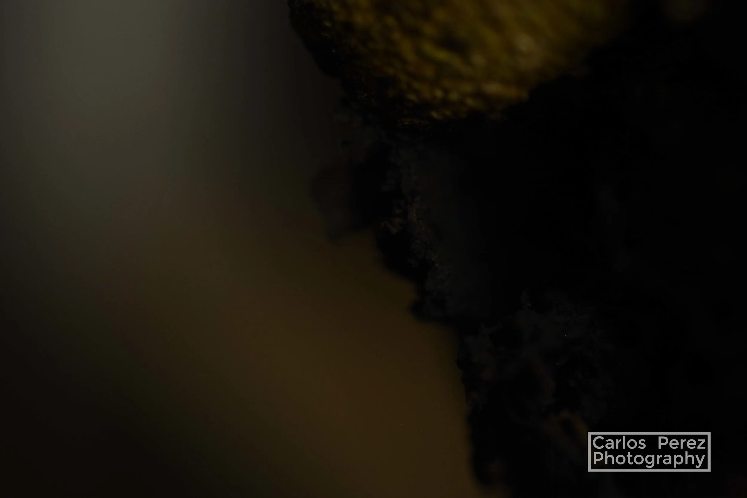 The background's color blends in with the underexposed subject, creating a mysterious theme.