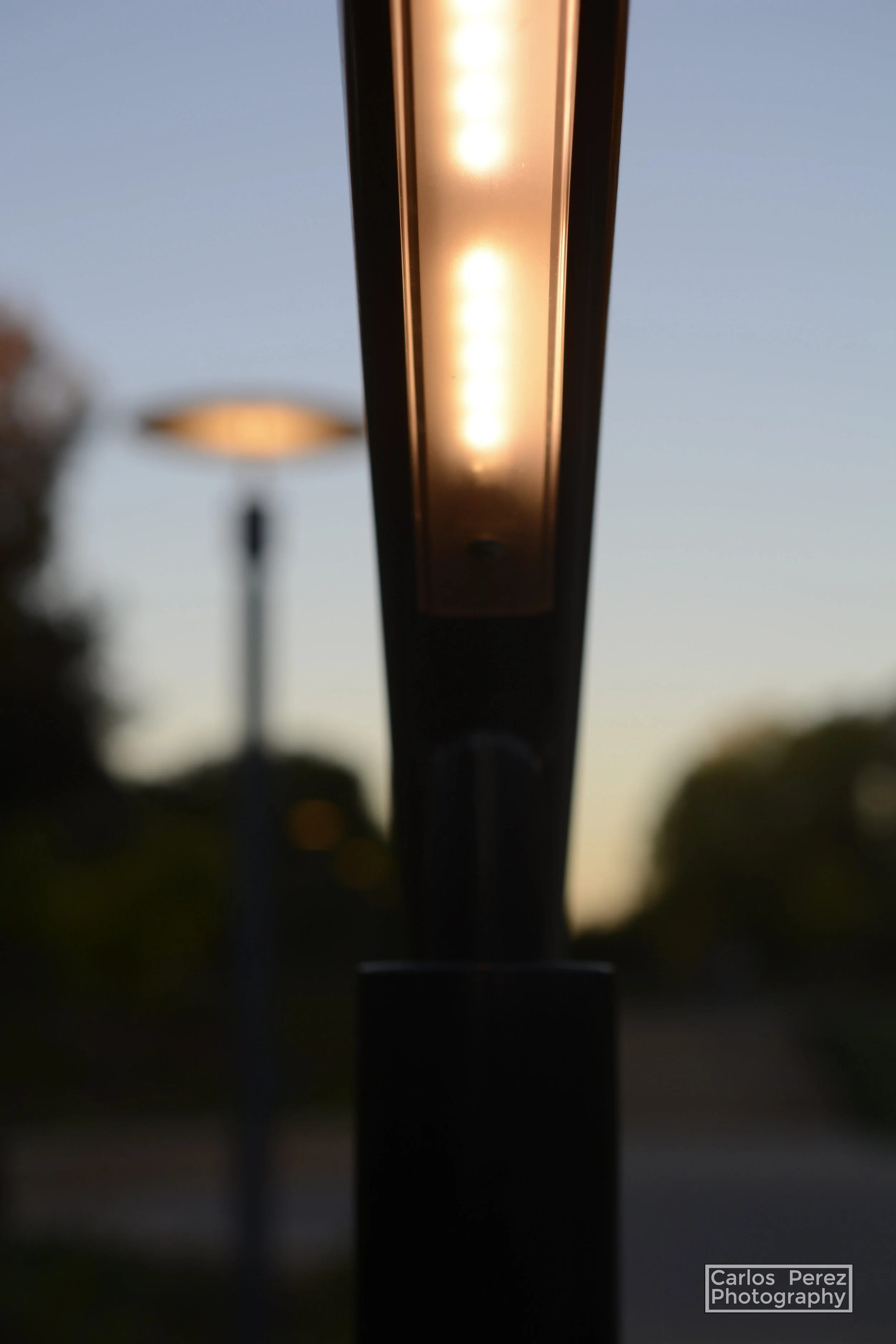 _DSC0721 copy.jpg