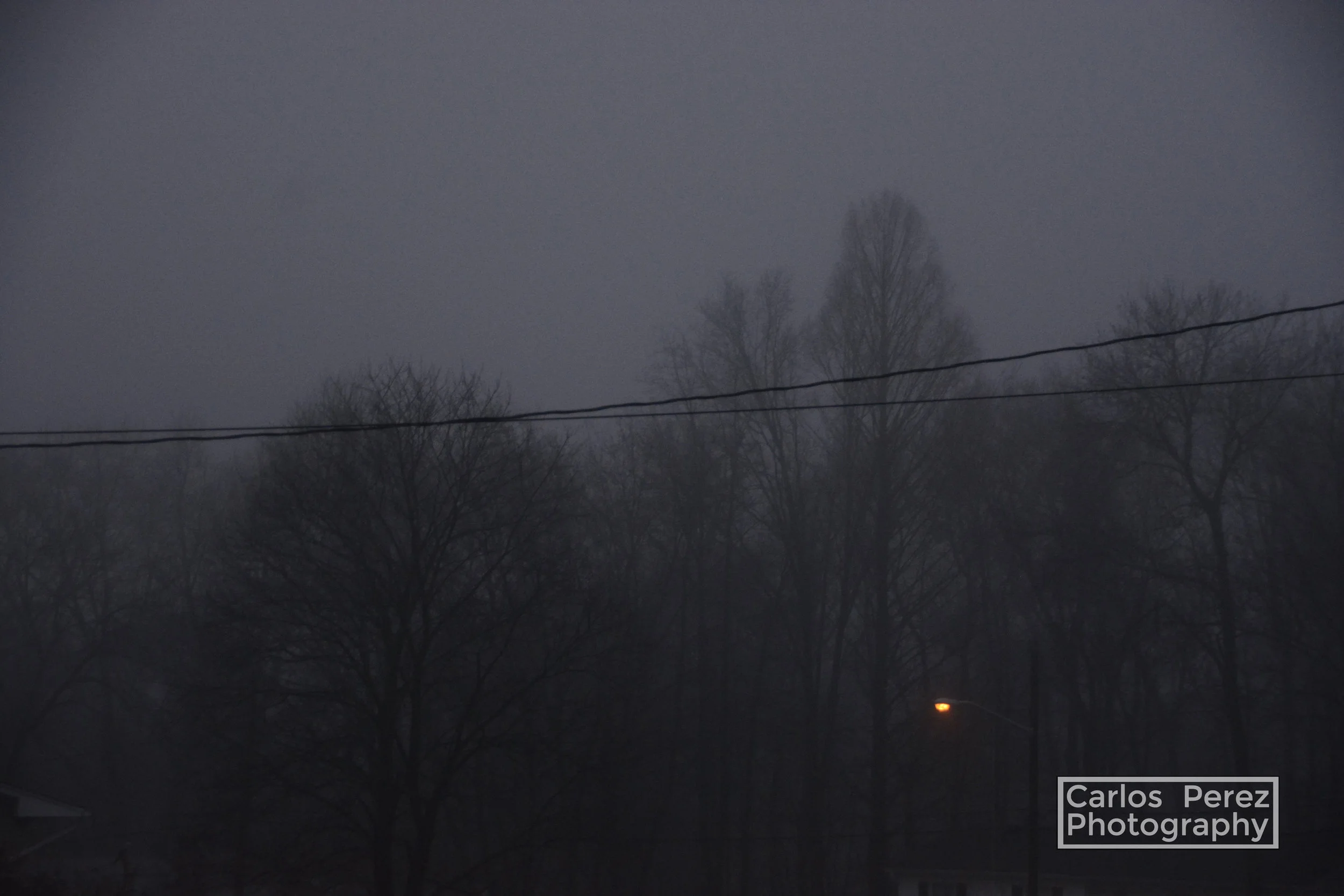 _DSC0386 copy.jpg