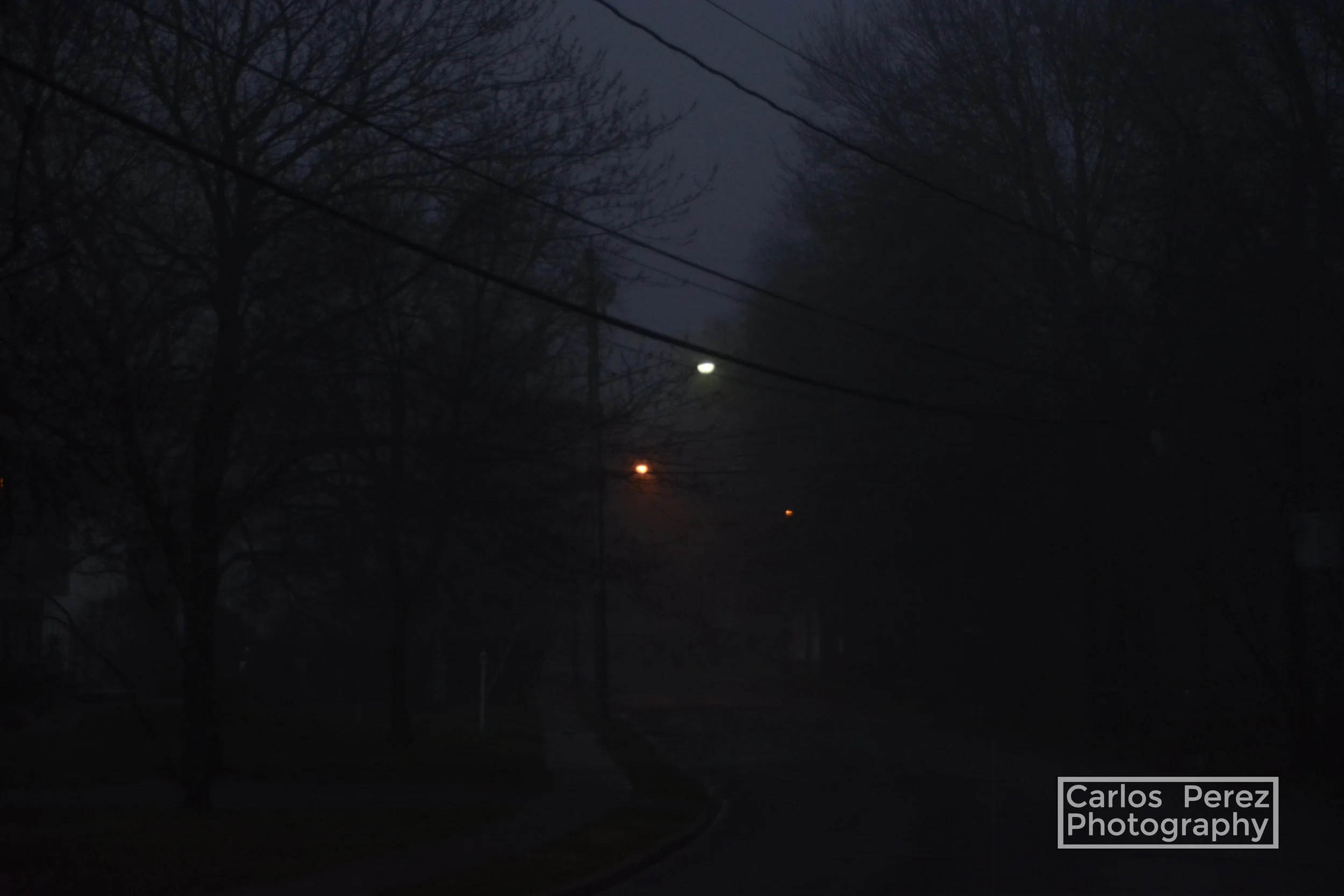 _DSC0399 copy.jpg