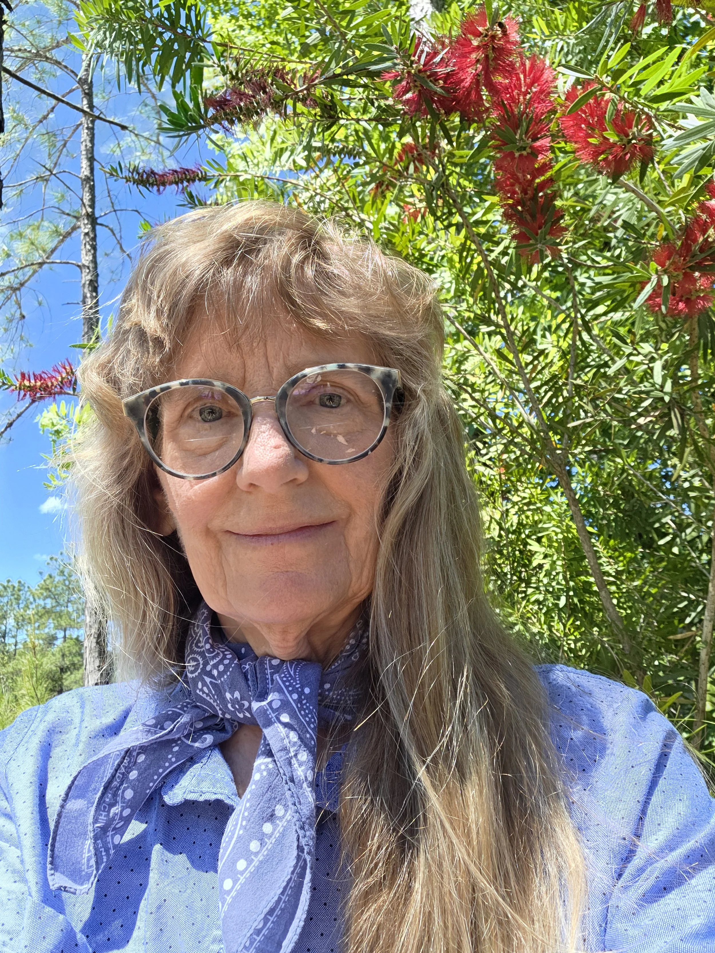 Paula Schutte