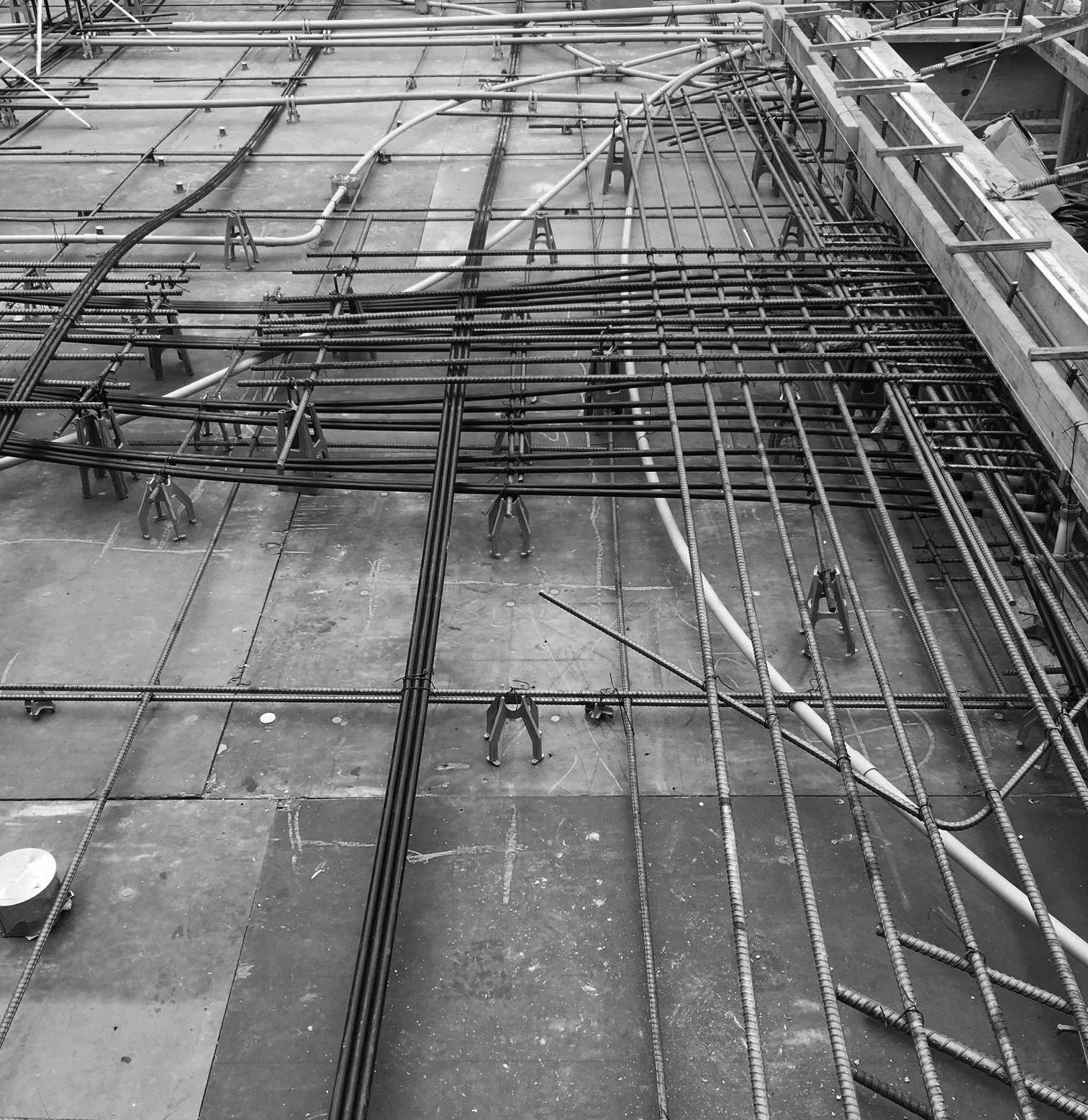 IMG_3907 BW.jpg