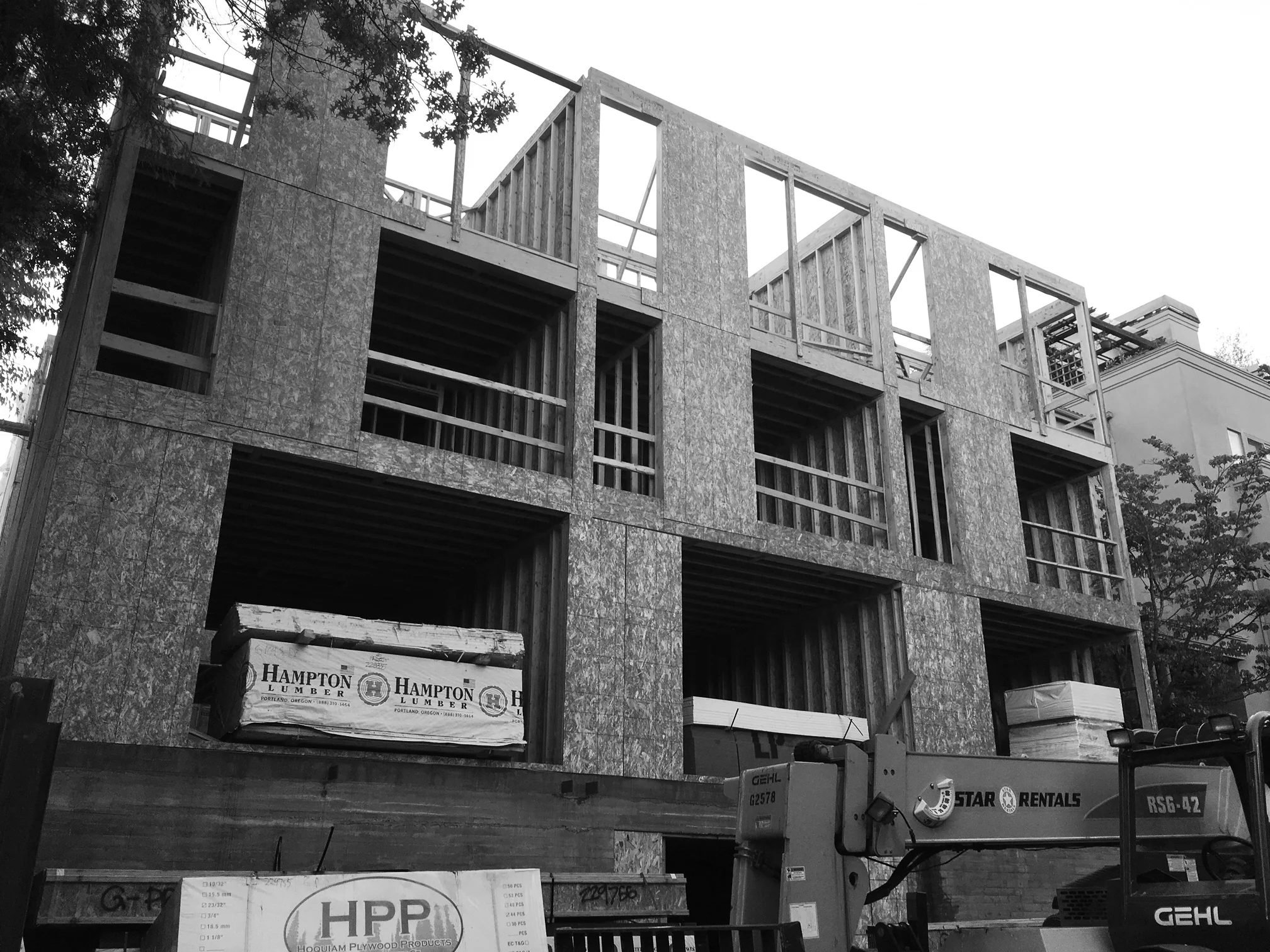 IMG_4071BW.jpg