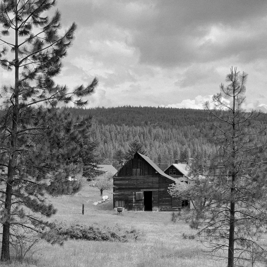 ROSLYN SITE IMAGE BW.jpg
