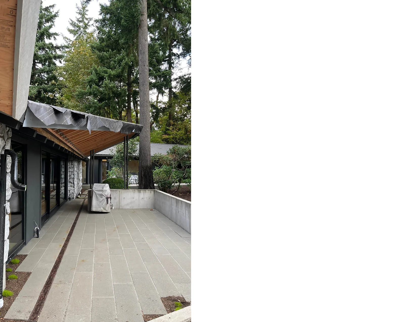 PORTRAIT IMAGE TEMPLATE3.jpg