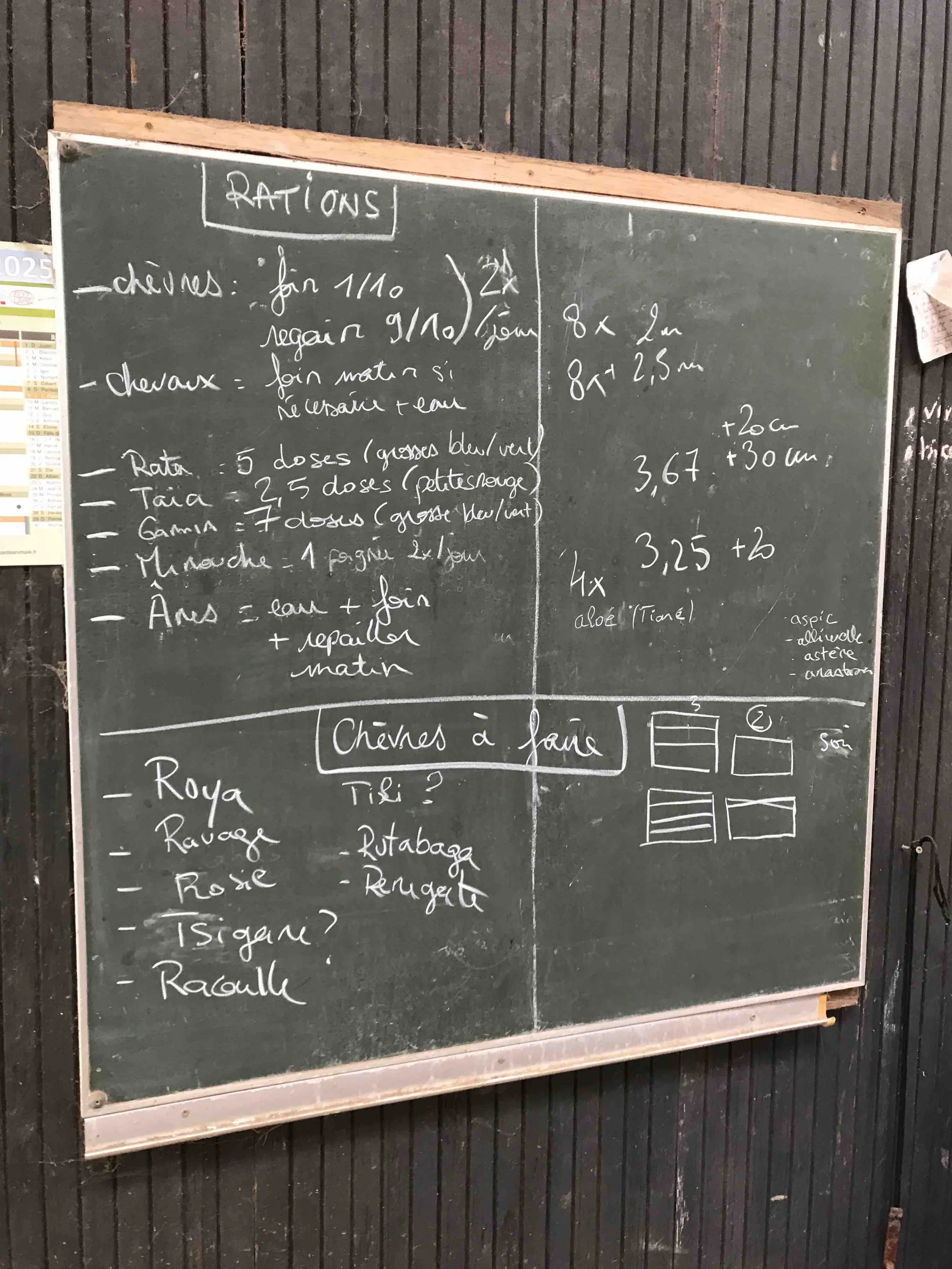 IMG_6232 - copie.jpeg