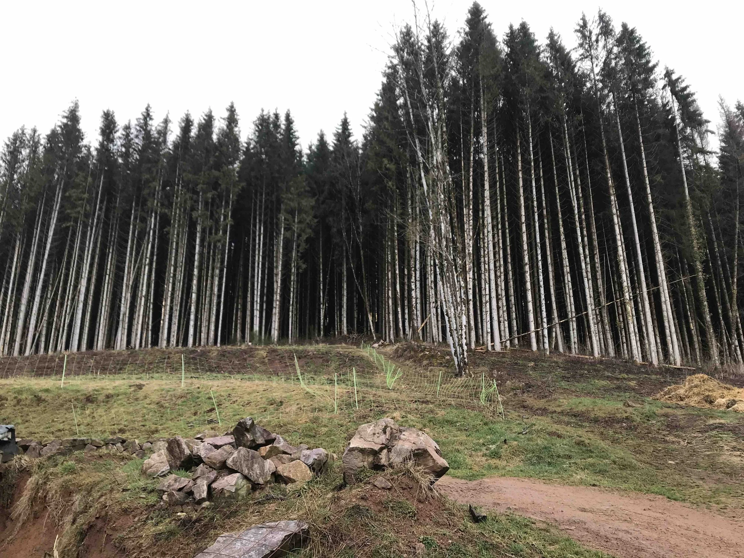 IMG_6234 - copie.jpeg