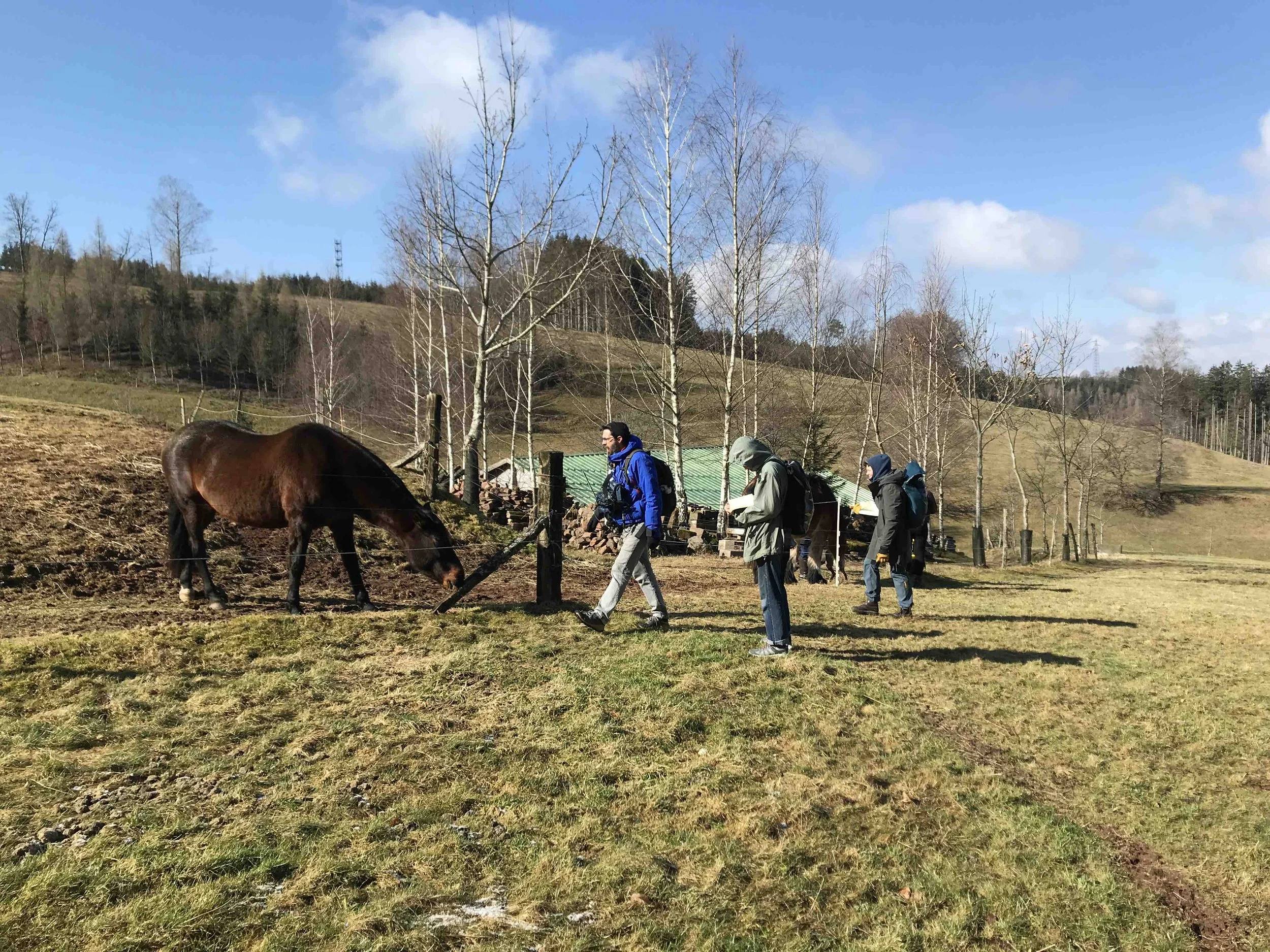 IMG_6248 - copie.jpeg