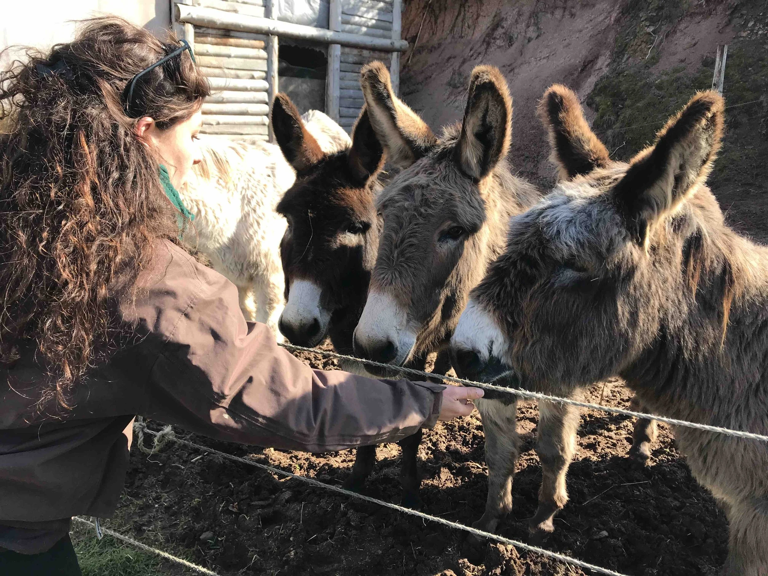 IMG_6270 - copie.jpeg