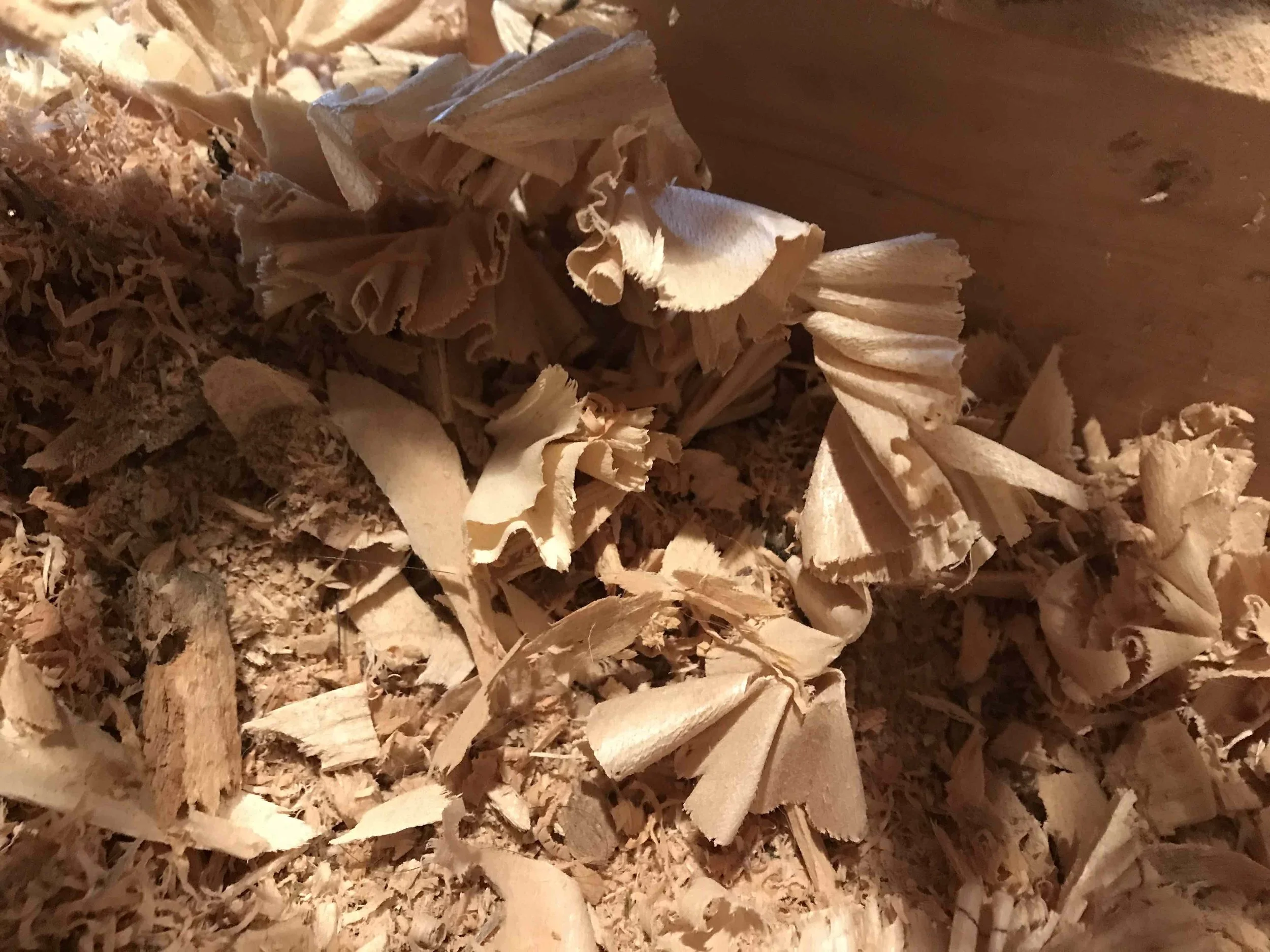 2025-03-28 14.59.48 - copie.jpeg