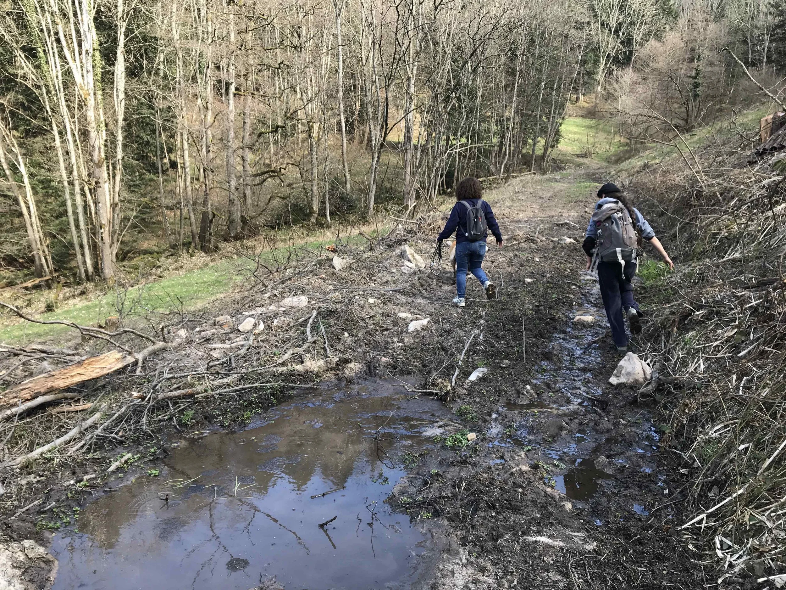 2025-03-28 15.03.19 - copie.jpeg