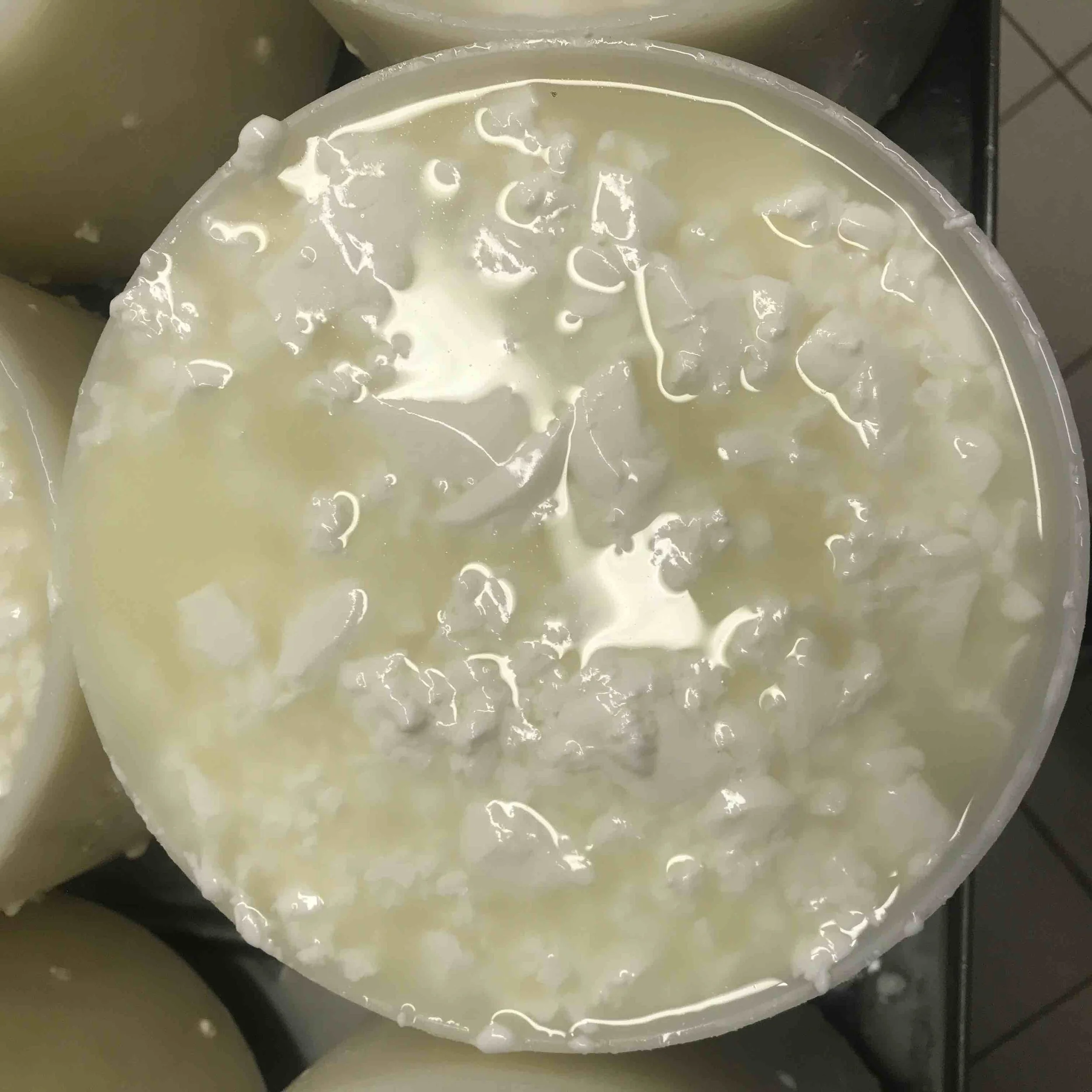 2025-03-29 10.04.09 - copie.jpeg