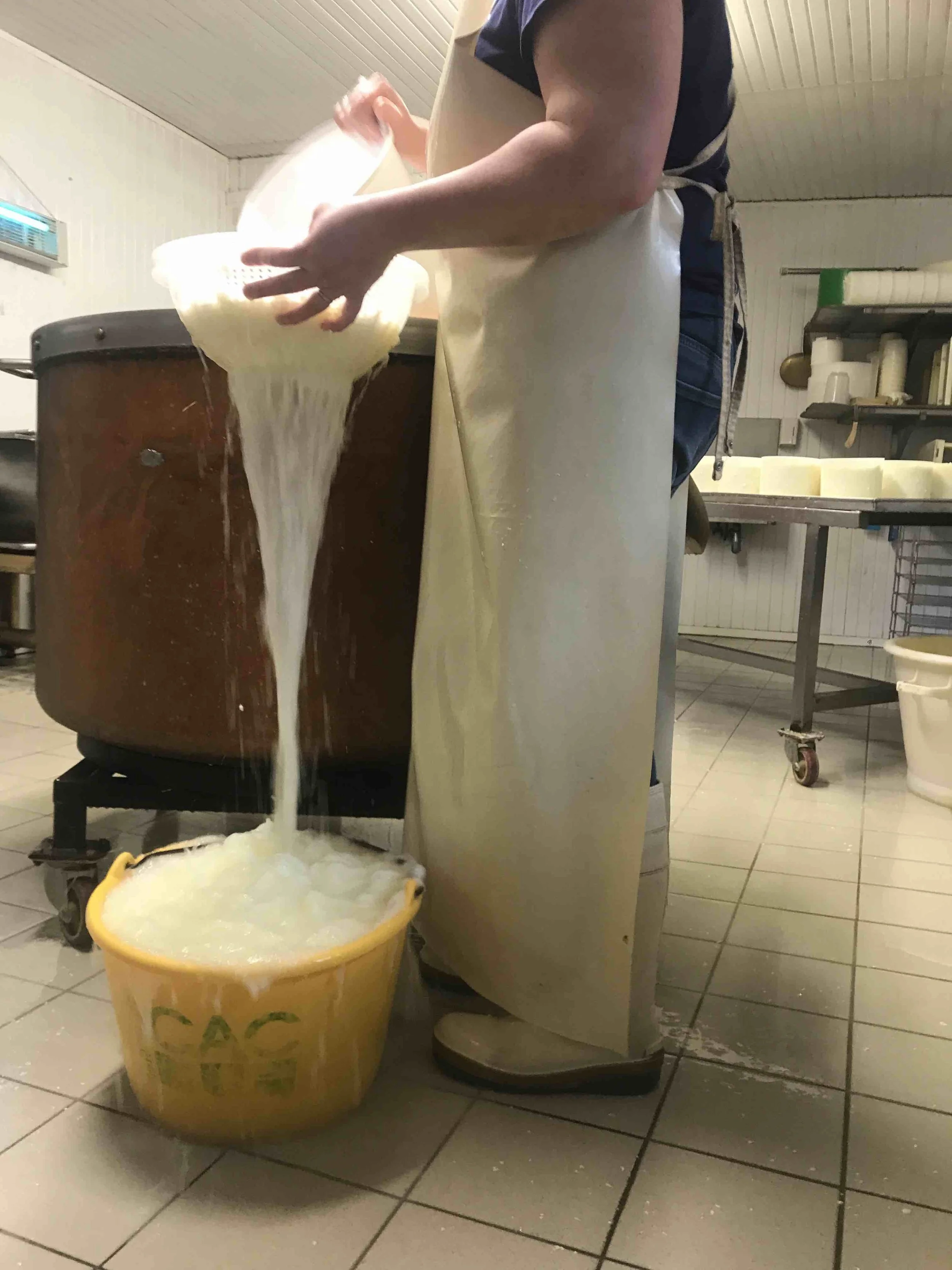 2025-03-29 10.12.21 - copie.jpeg