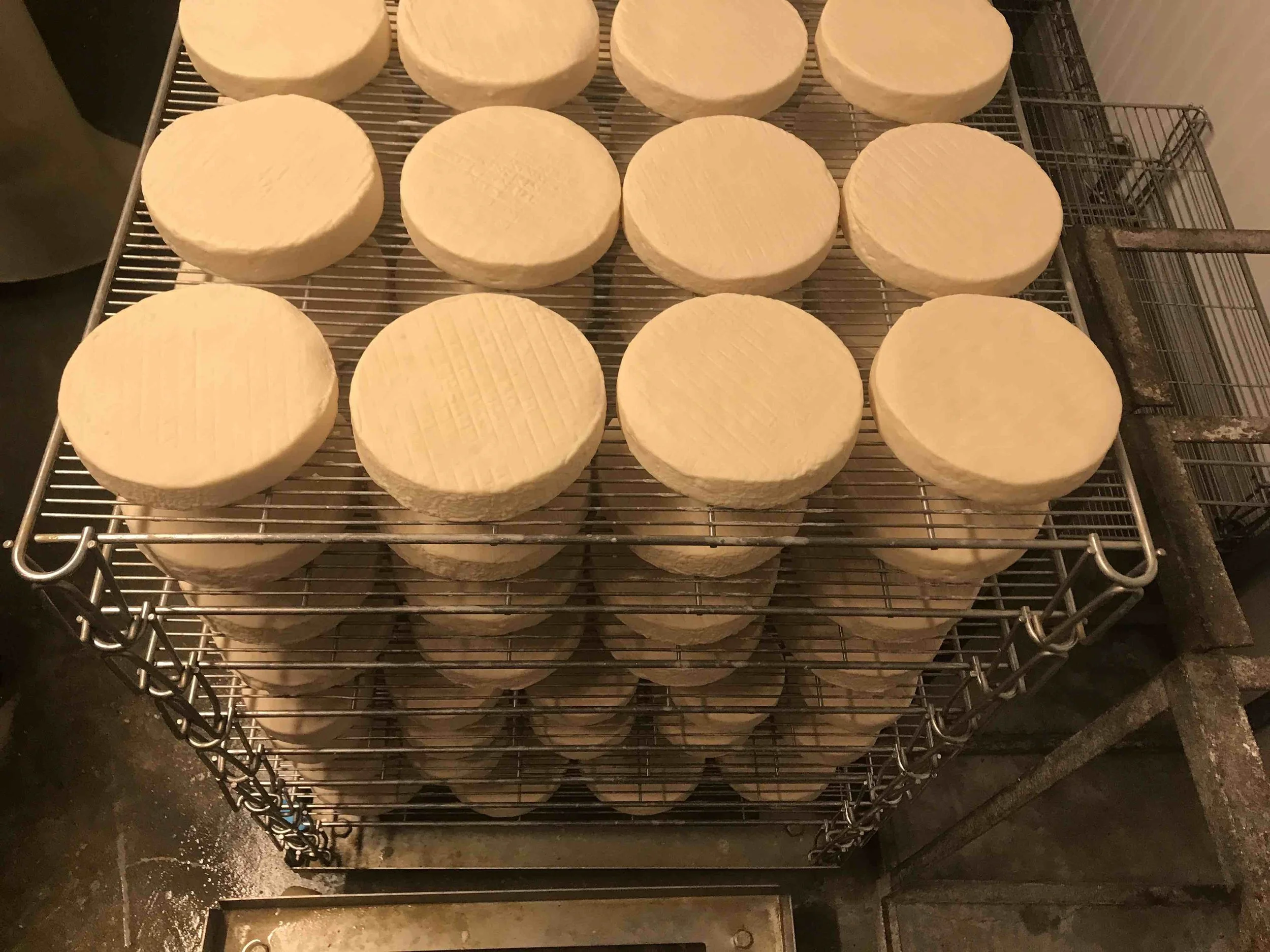 2025-03-29 11.16.13 - copie.jpeg