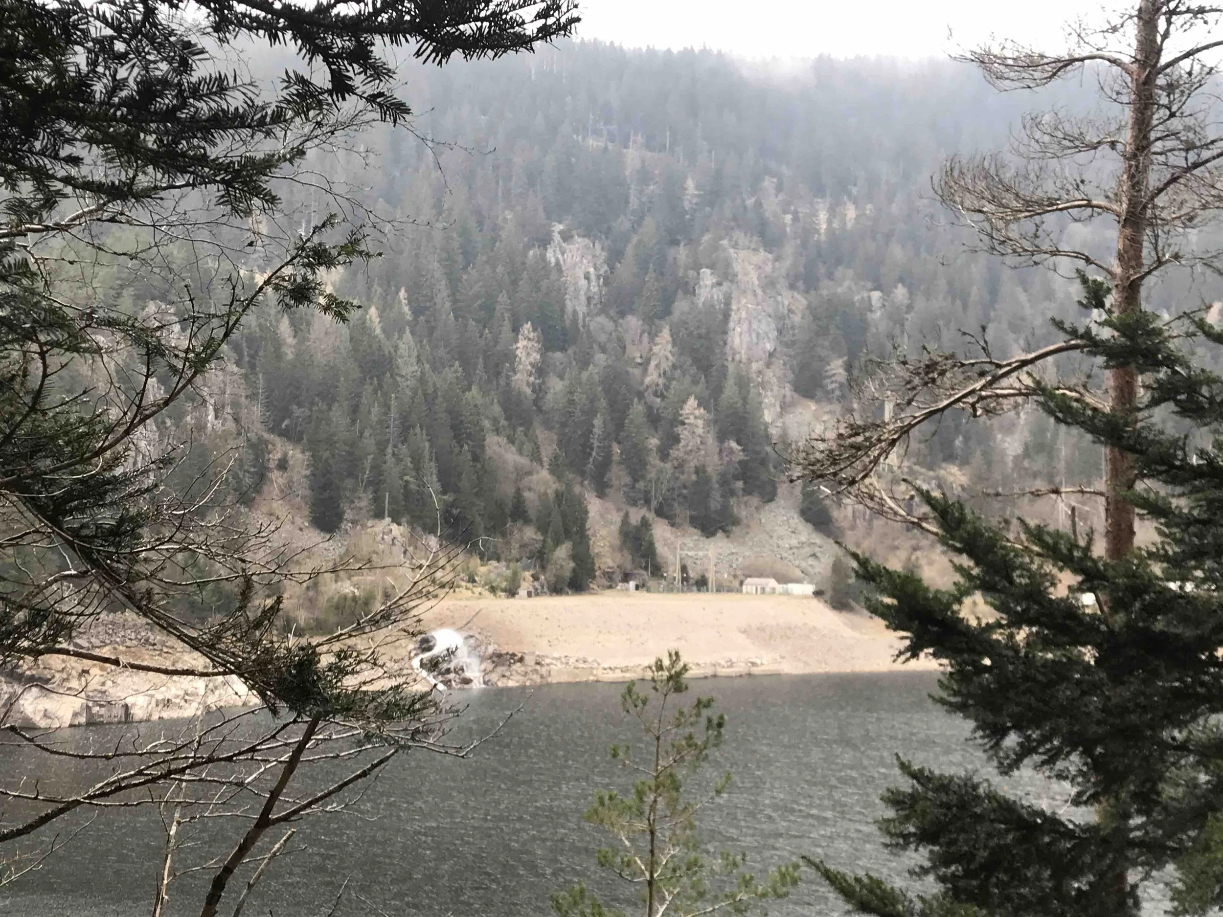 2025-03-29 17.00.23 - copie.jpeg