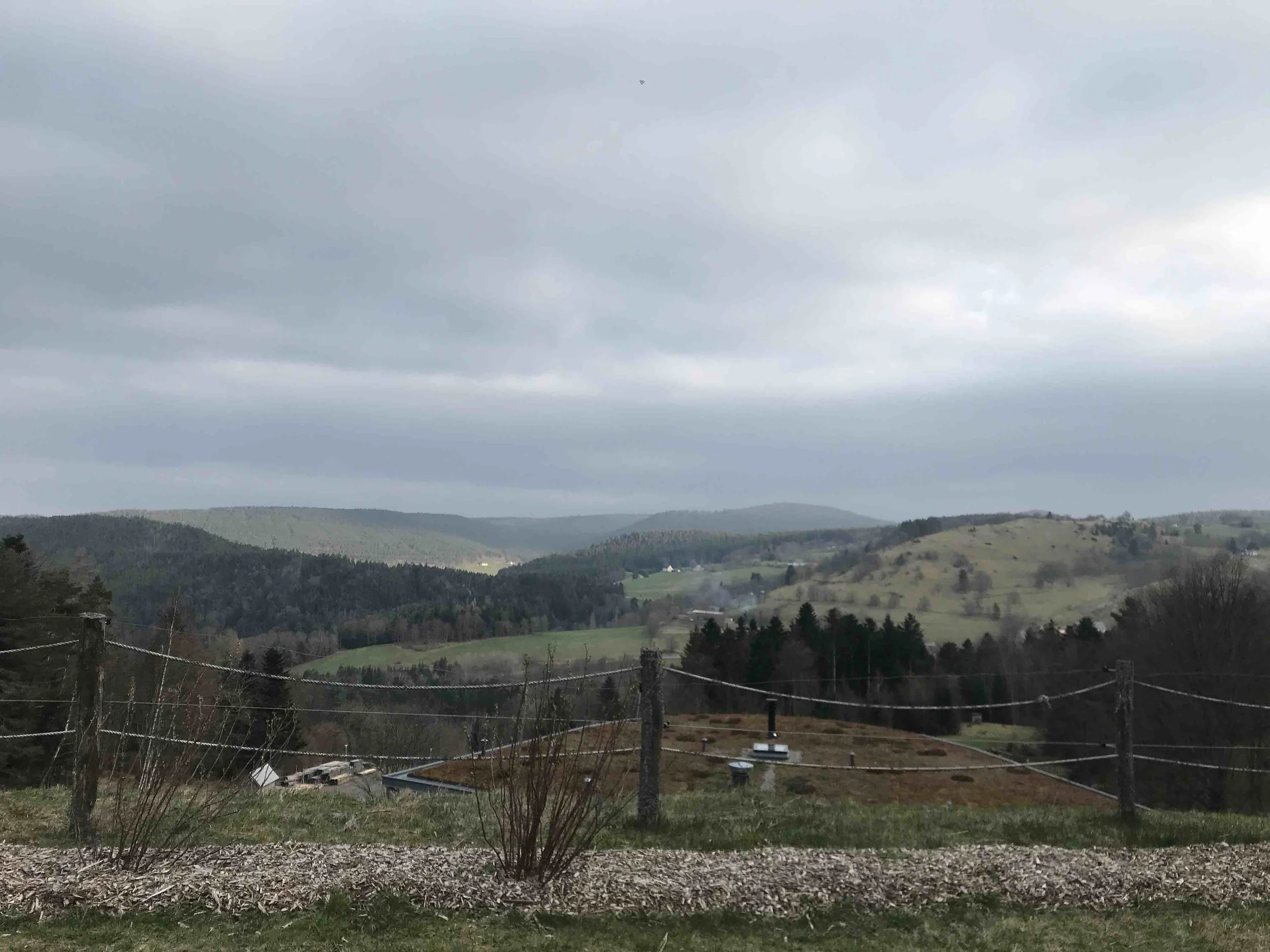 2025-03-29 17.34.27 - copie.jpeg