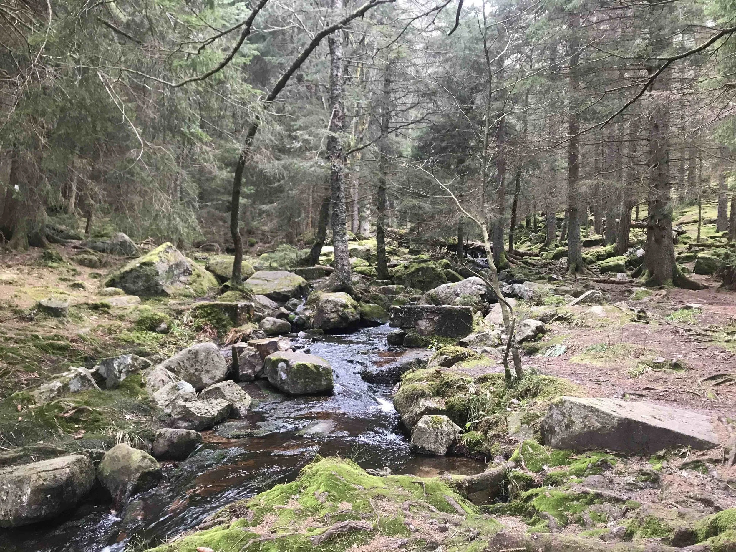 2025-03-29 17.42.13 - copie.jpeg