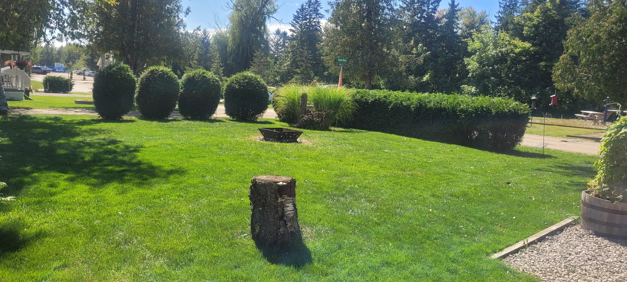 20260914_141411.jpg