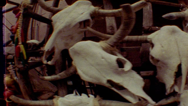 Dailies from Dumpland Part 3