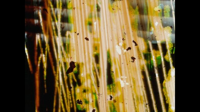 The Good Doctor is Back