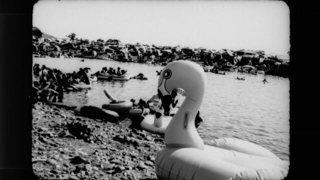 Dailies from Dumpland 5