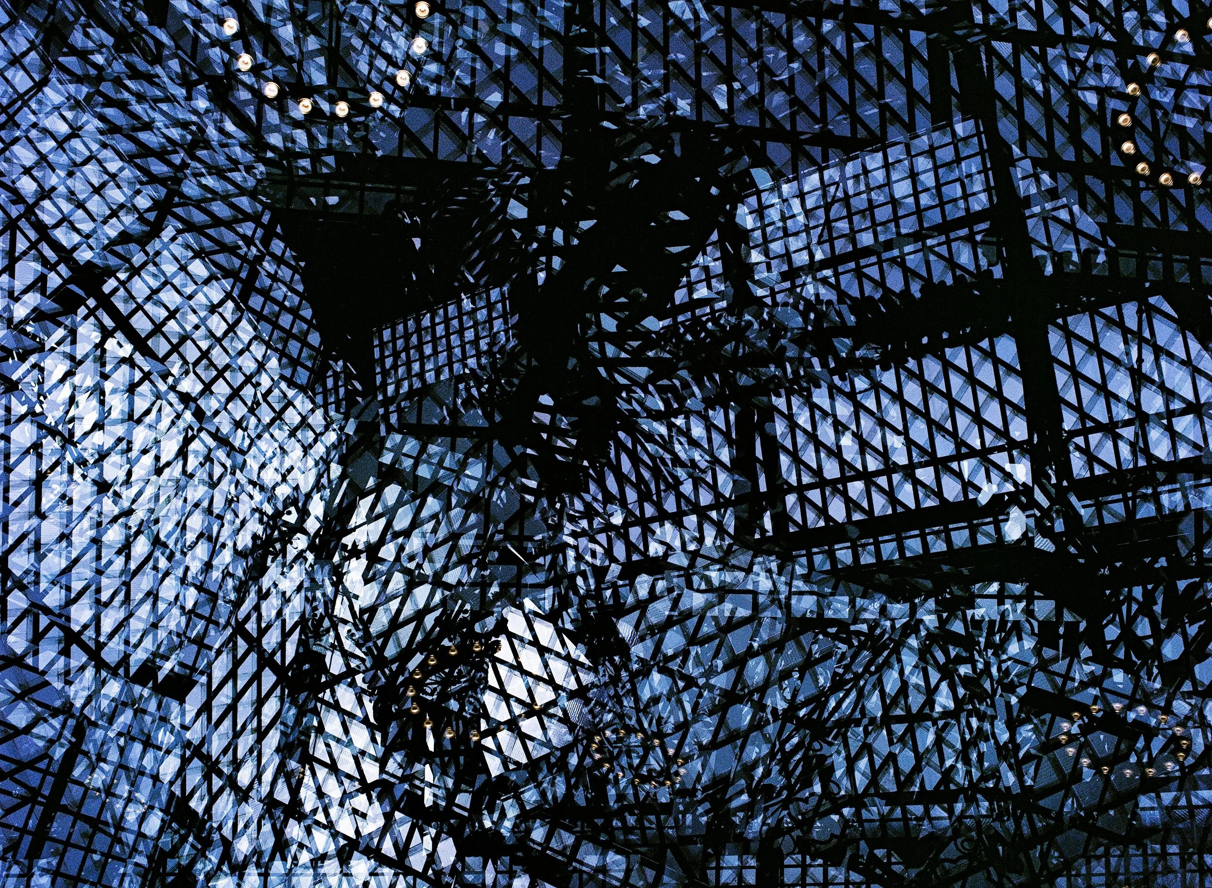 Museum of Natural History.jpeg