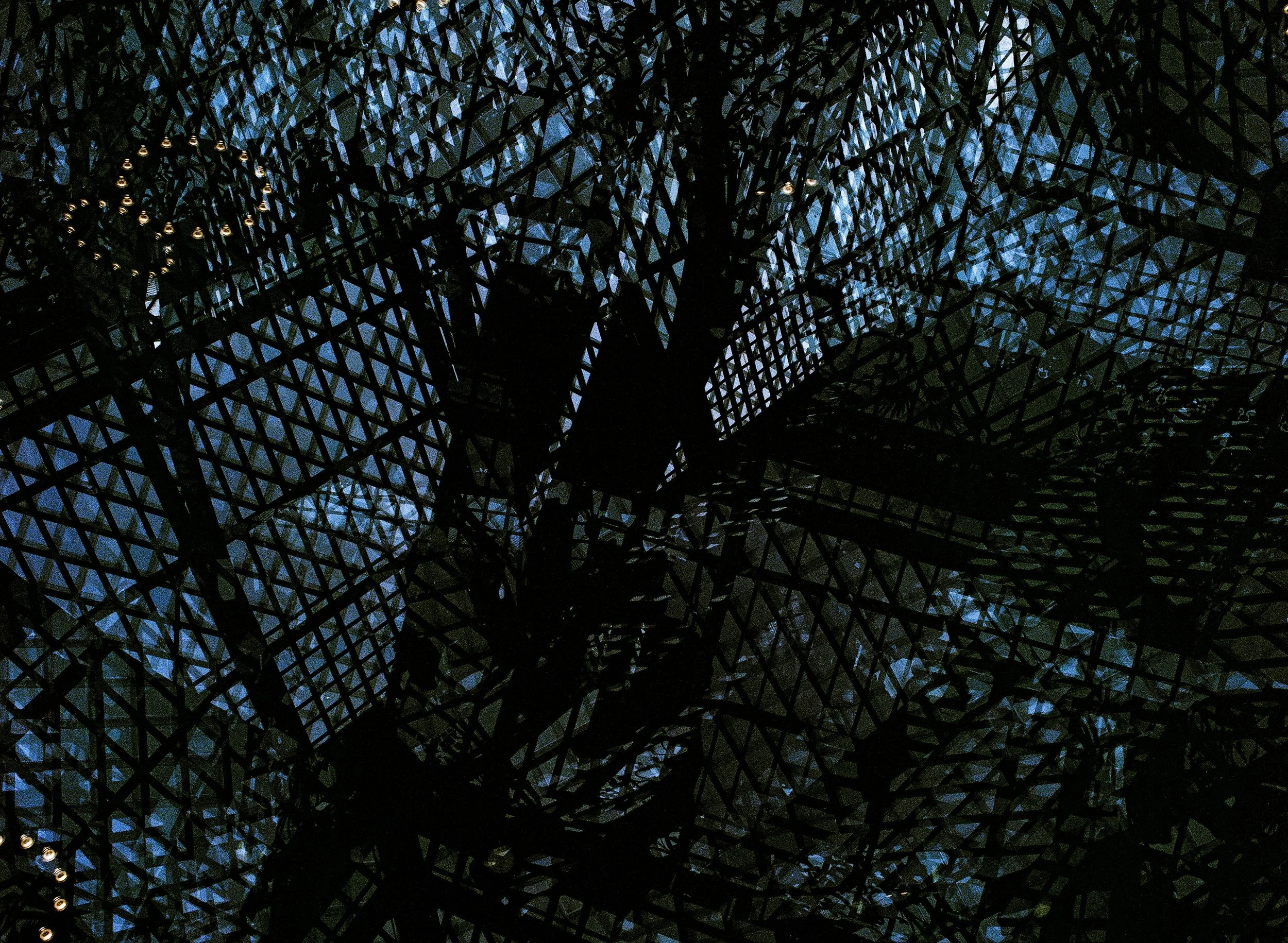 Museum of Natural History 2.jpeg