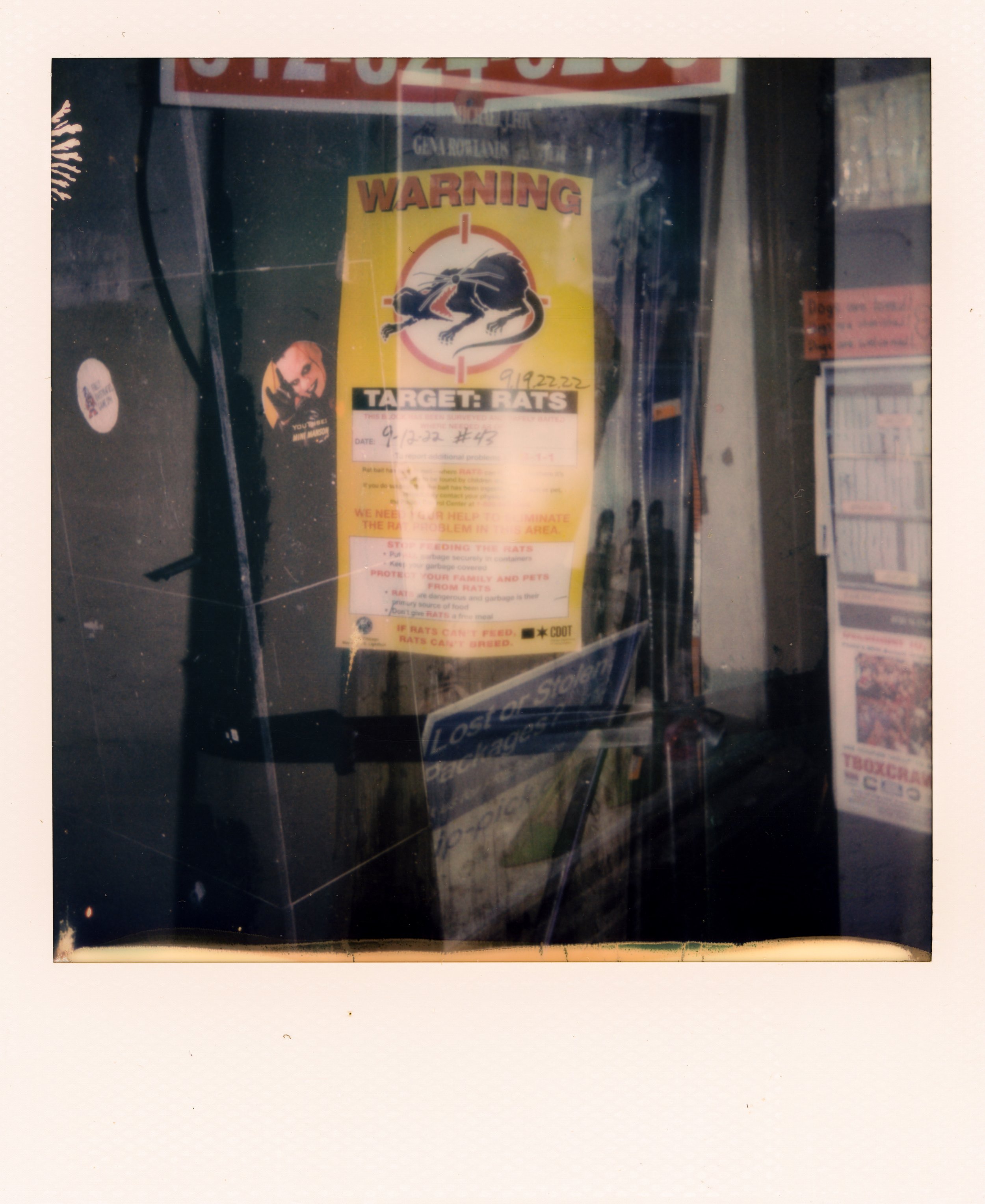 polaroids194.jpeg