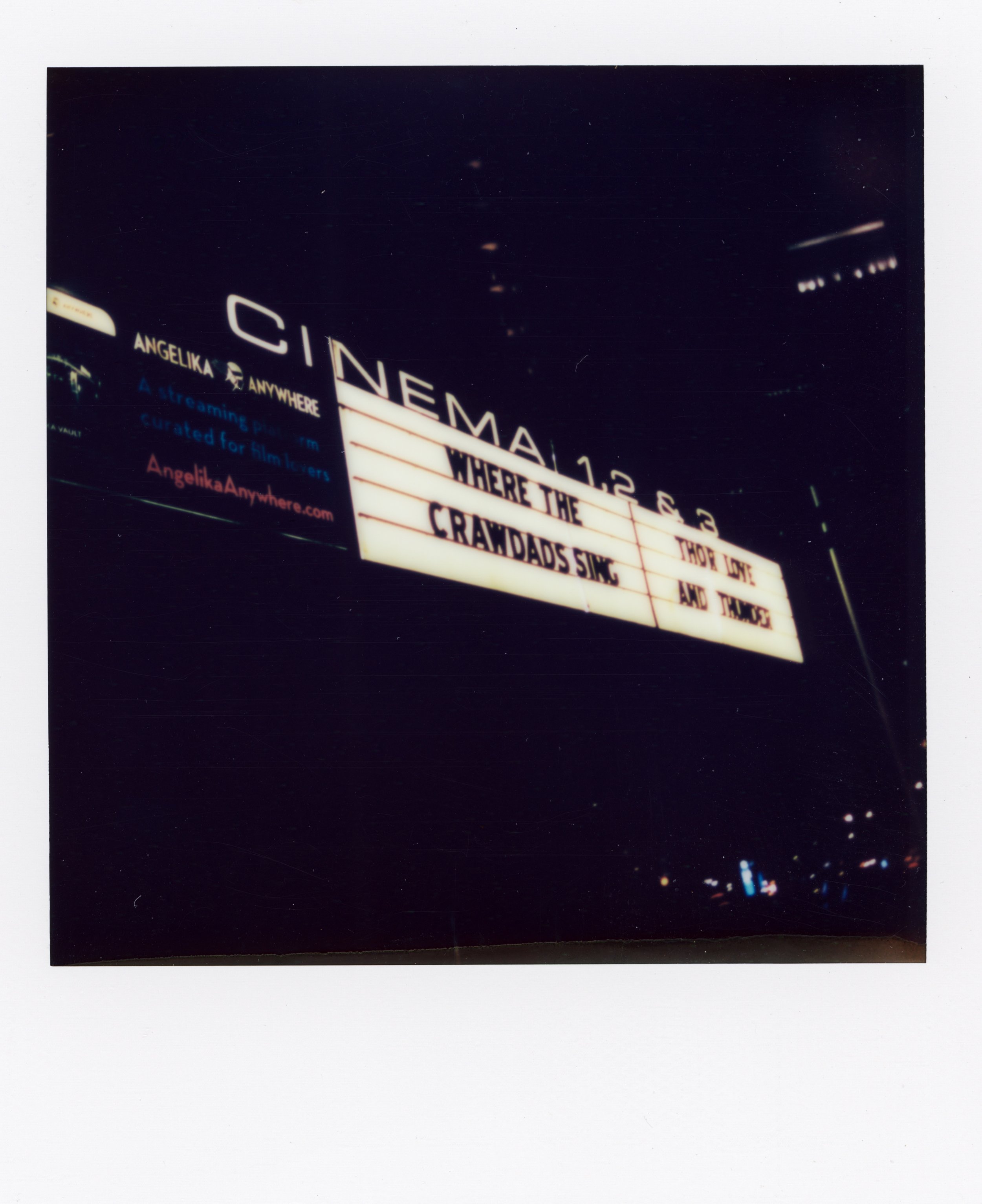 polaroids164.jpeg