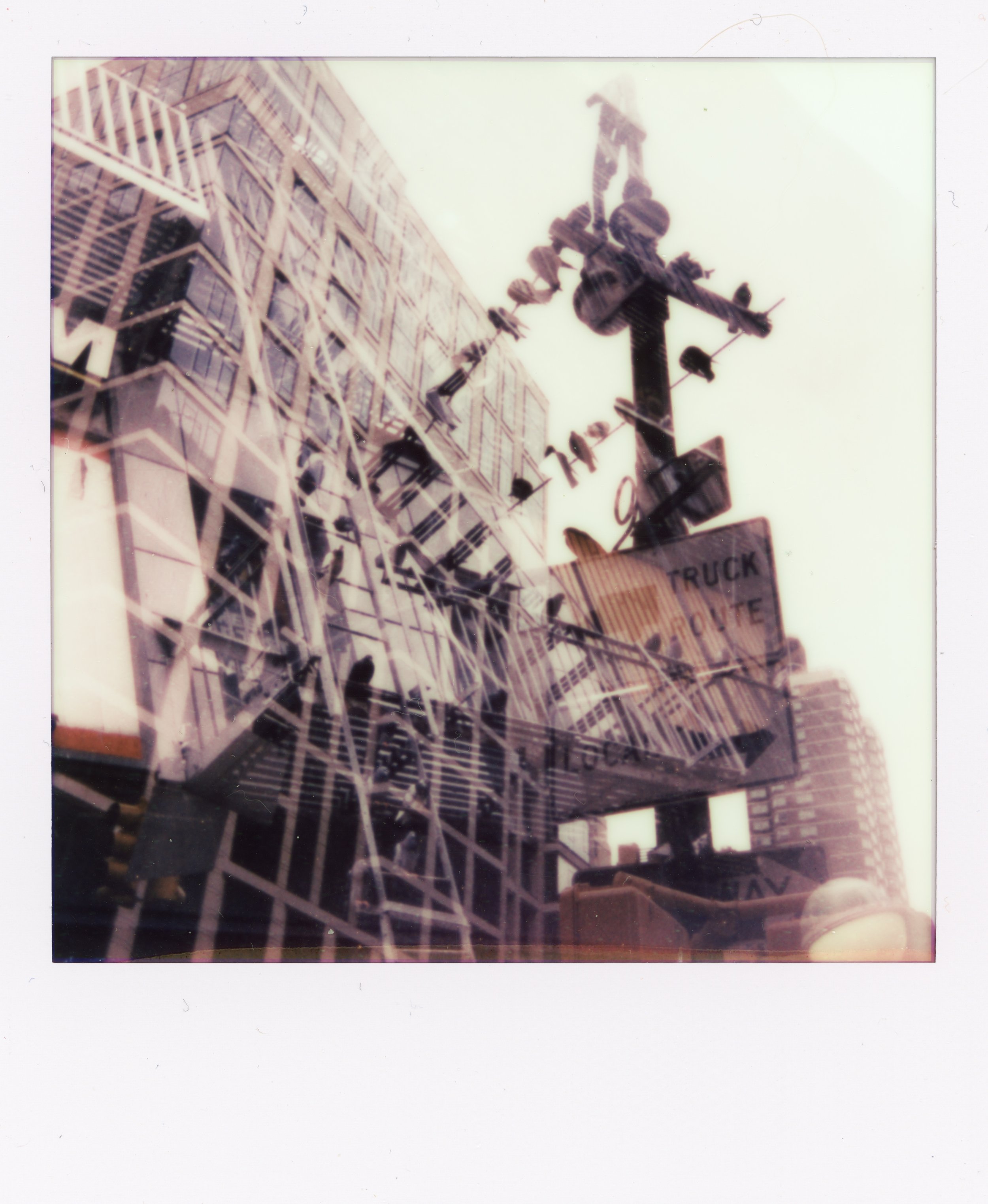 polaroids094.jpeg