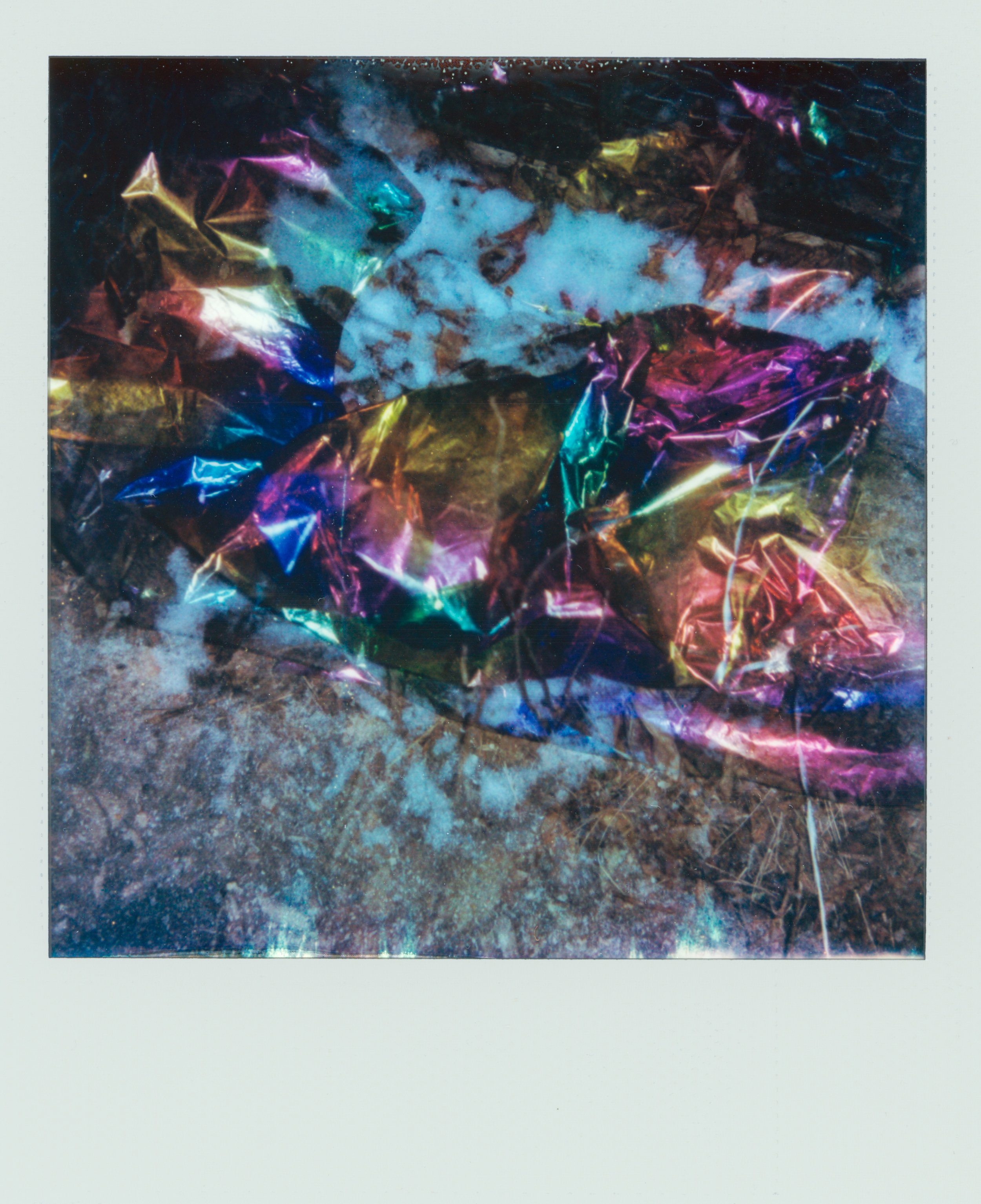 polaroids056.jpeg