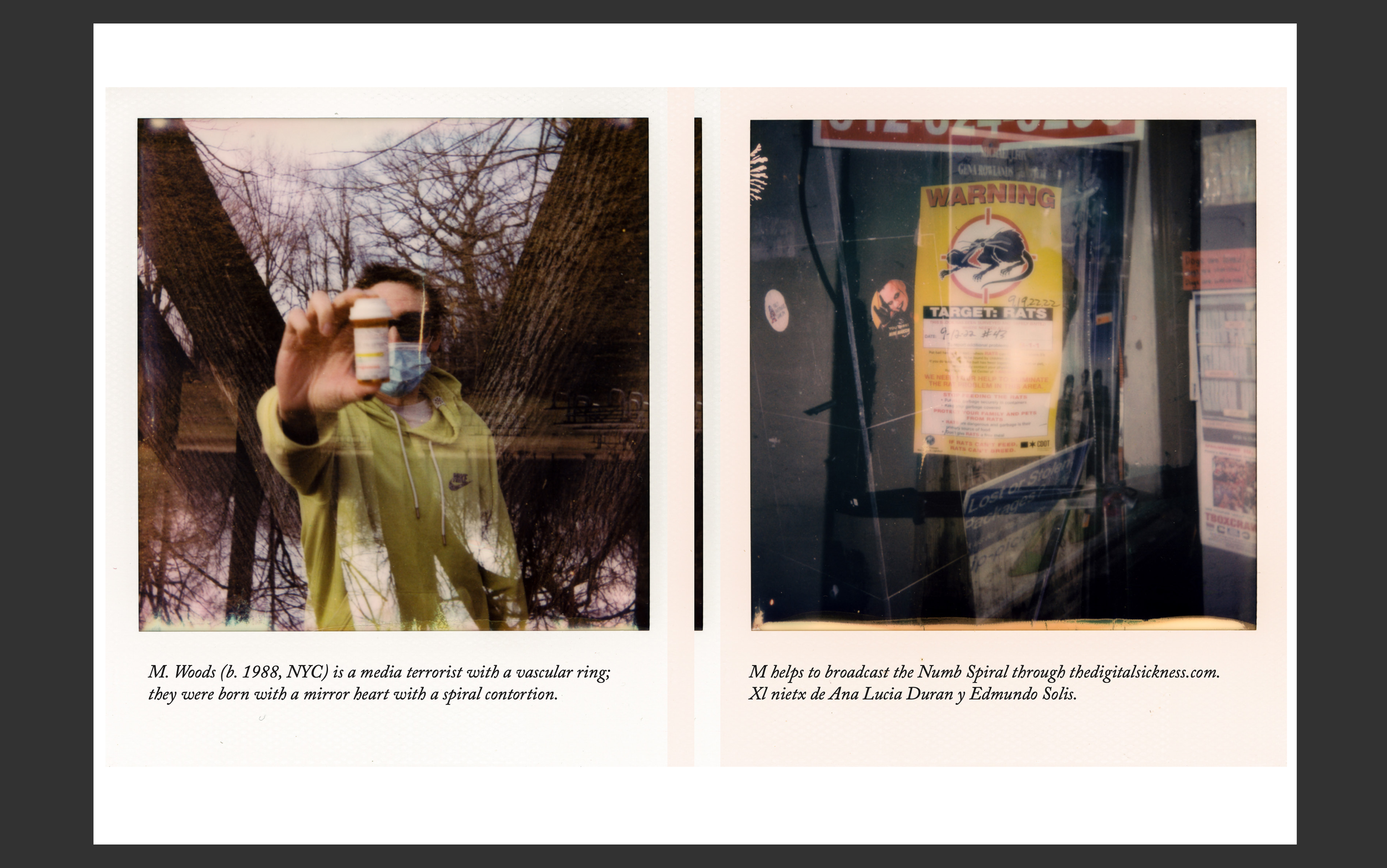 Distinct Instances Spread.png