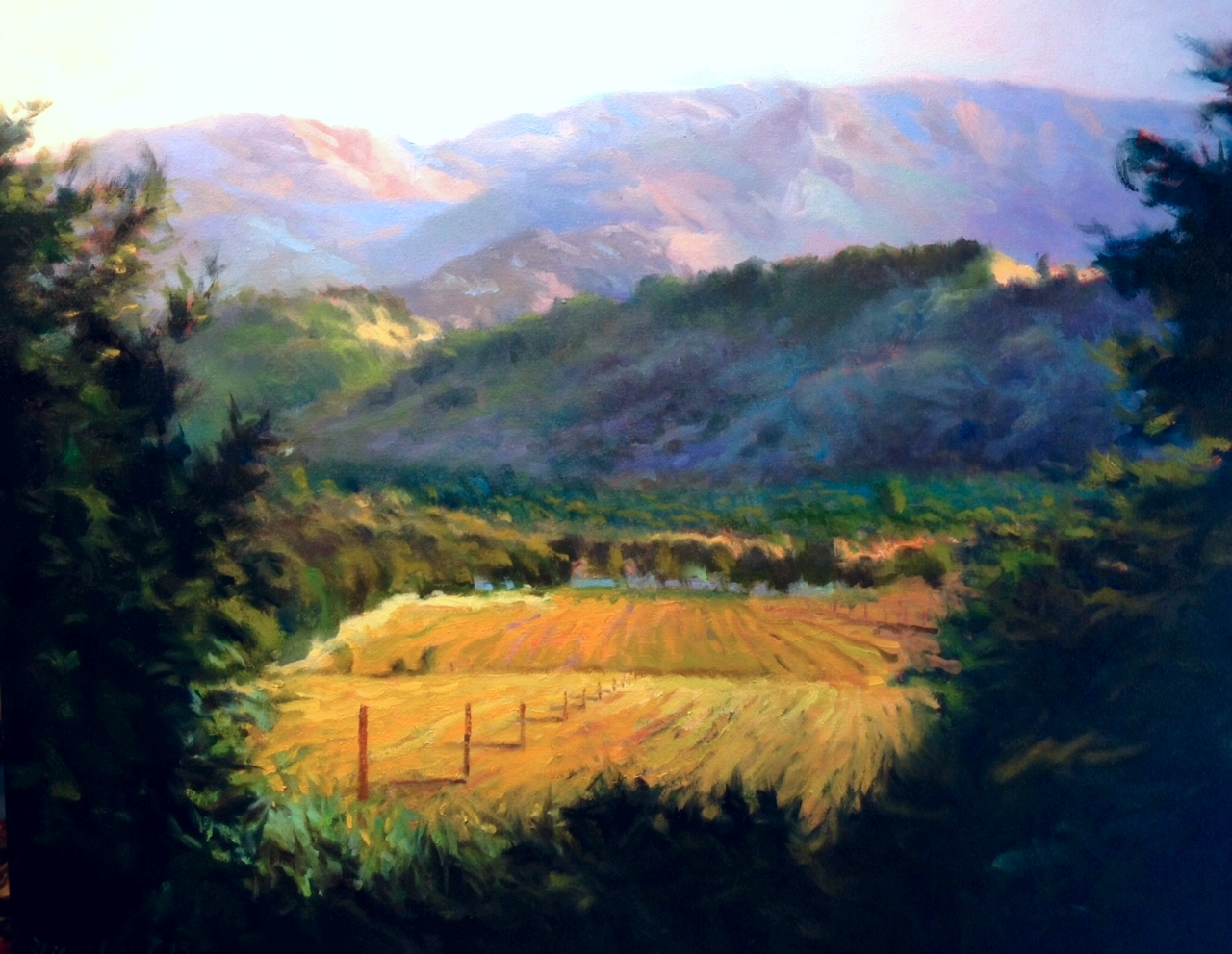 NAPA