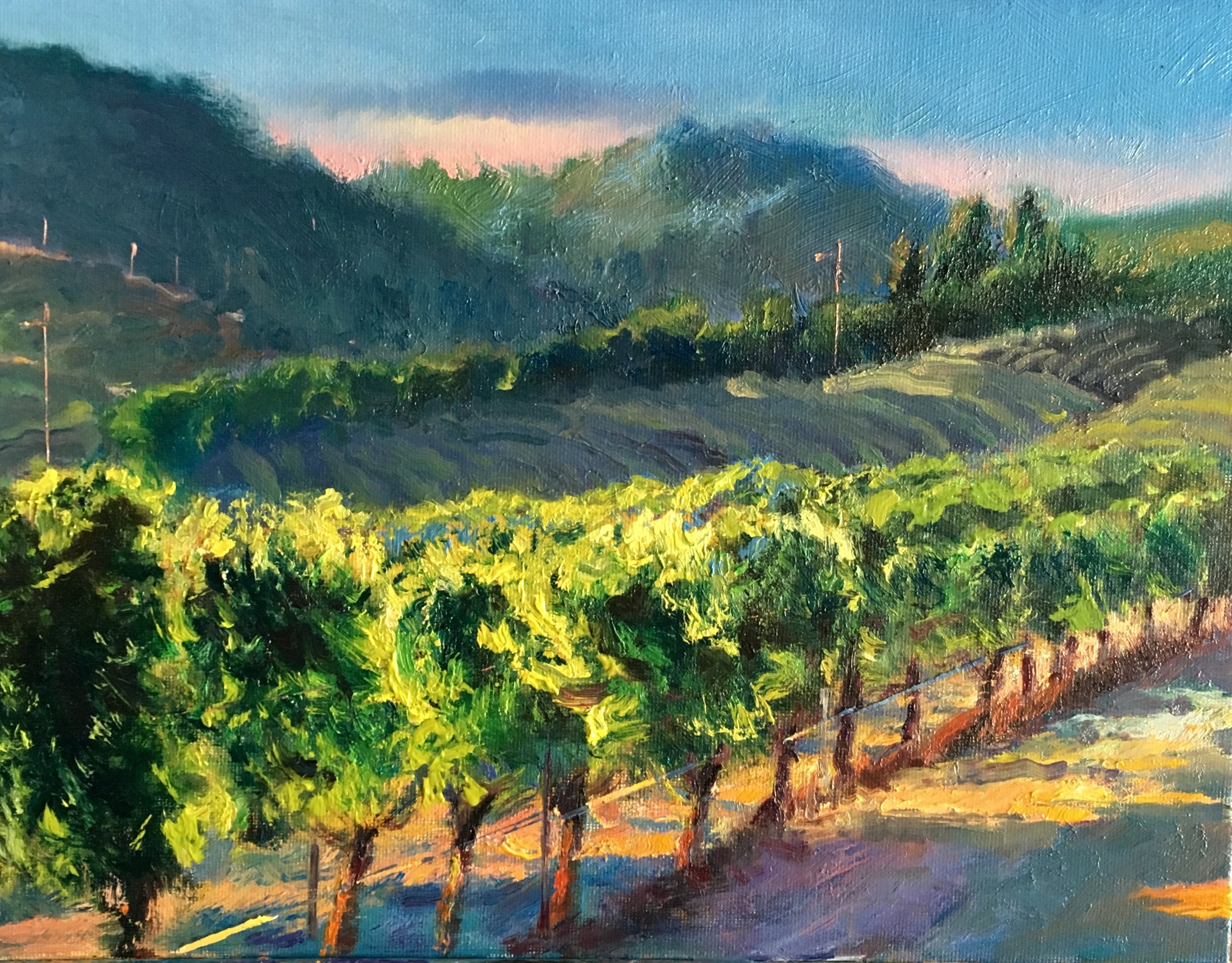 NAPA#2 /SOLD