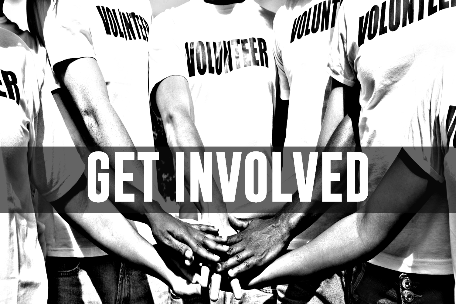 GET INVOLVED HEADER PIC 2.png