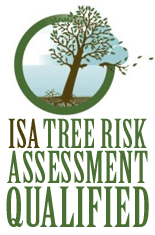 ISA risk logo.png