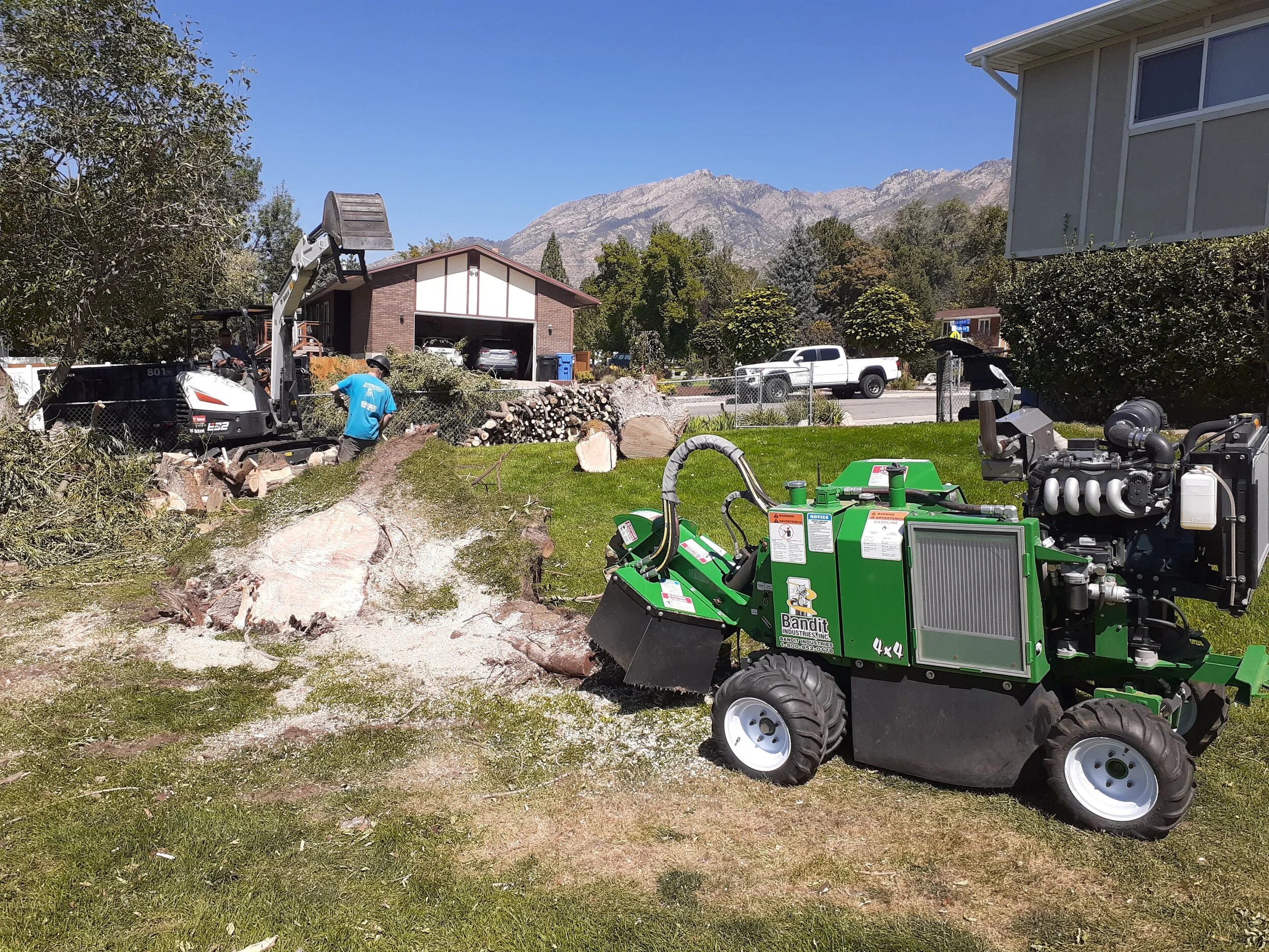 Highclimbers Professional Tree CareHigh Climbers