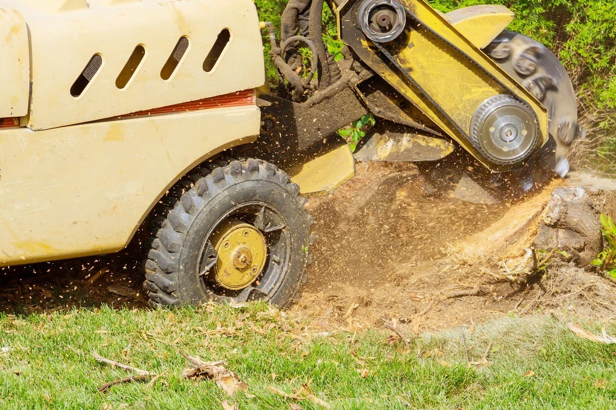 Stump Removal