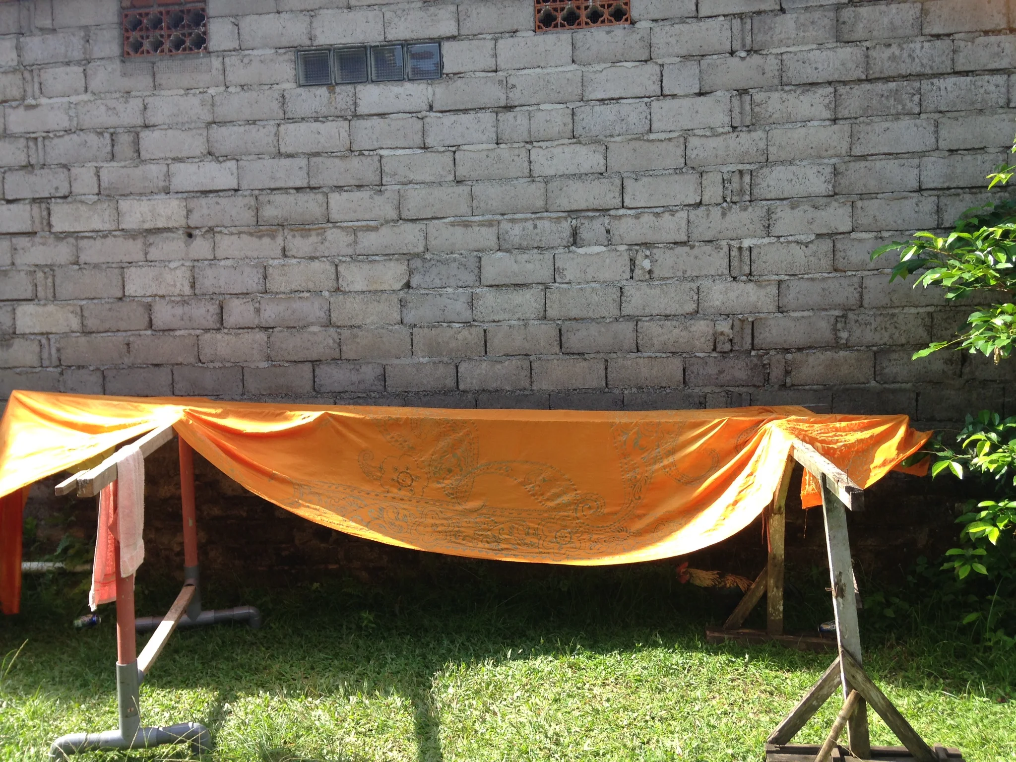 photo 2.JPG