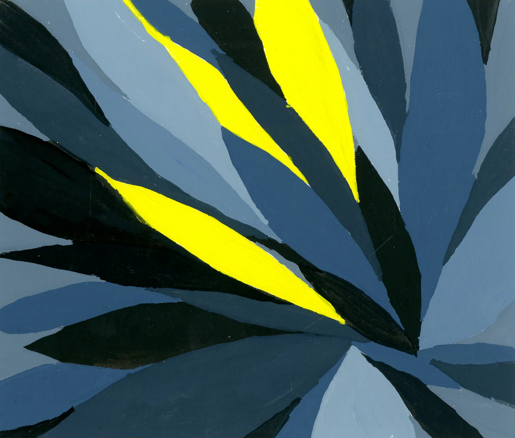 colorstudy16.jpg