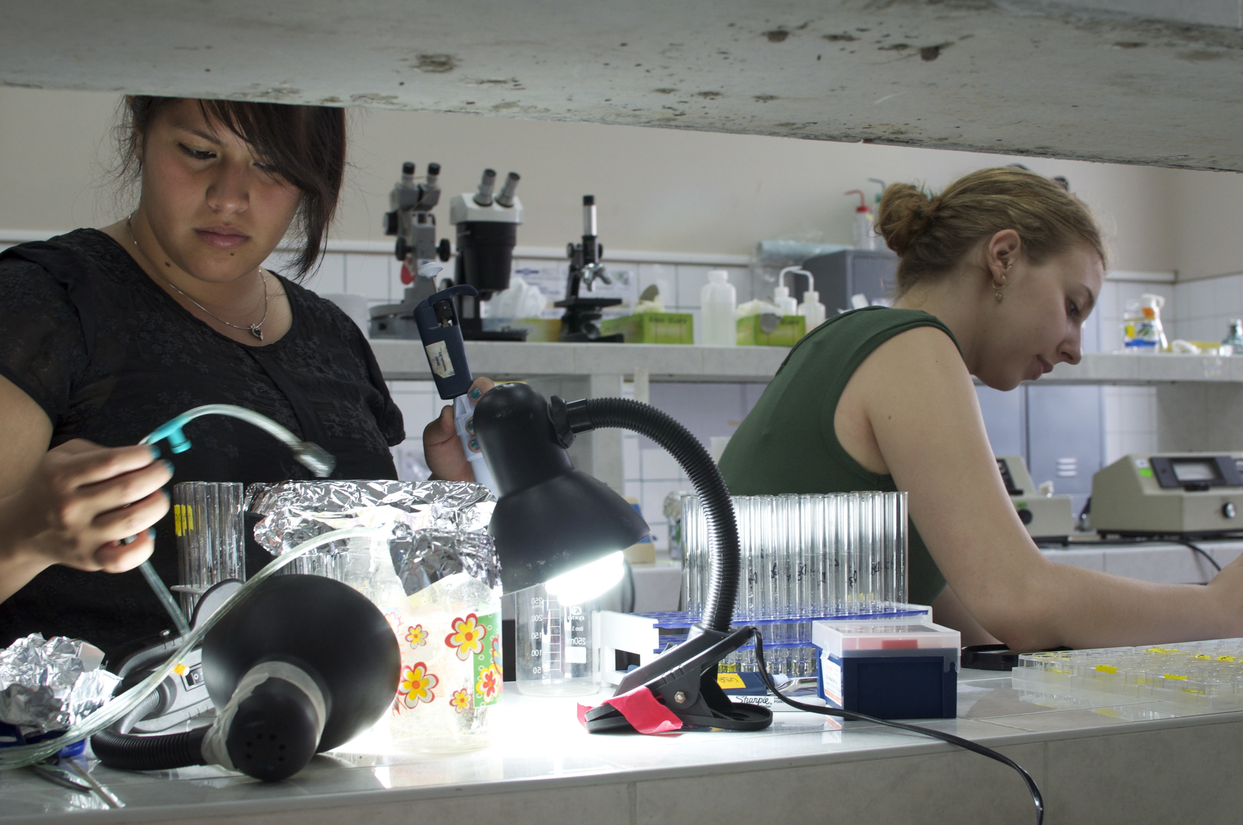 labwork_giselle&emilyb.jpg