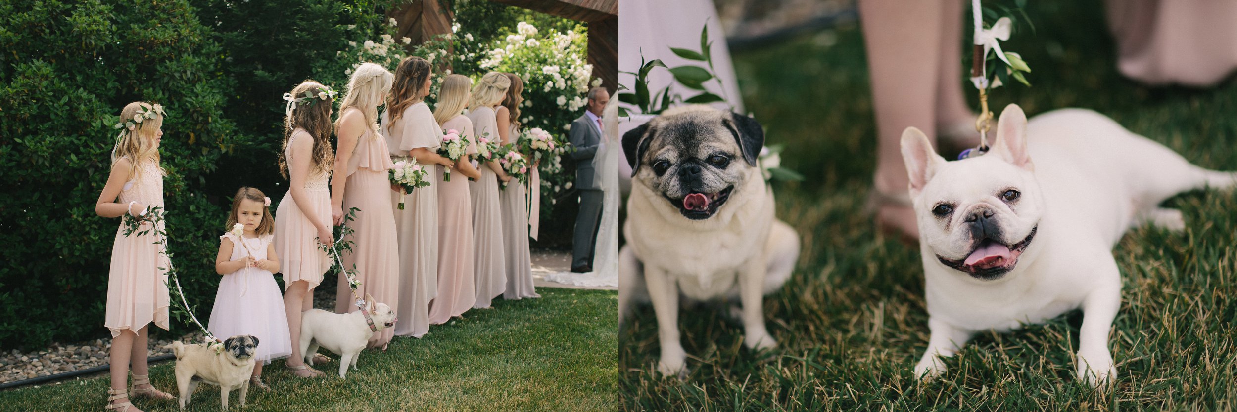 CaliforniaWedding|LindenCloverPhotography_0051.jpg