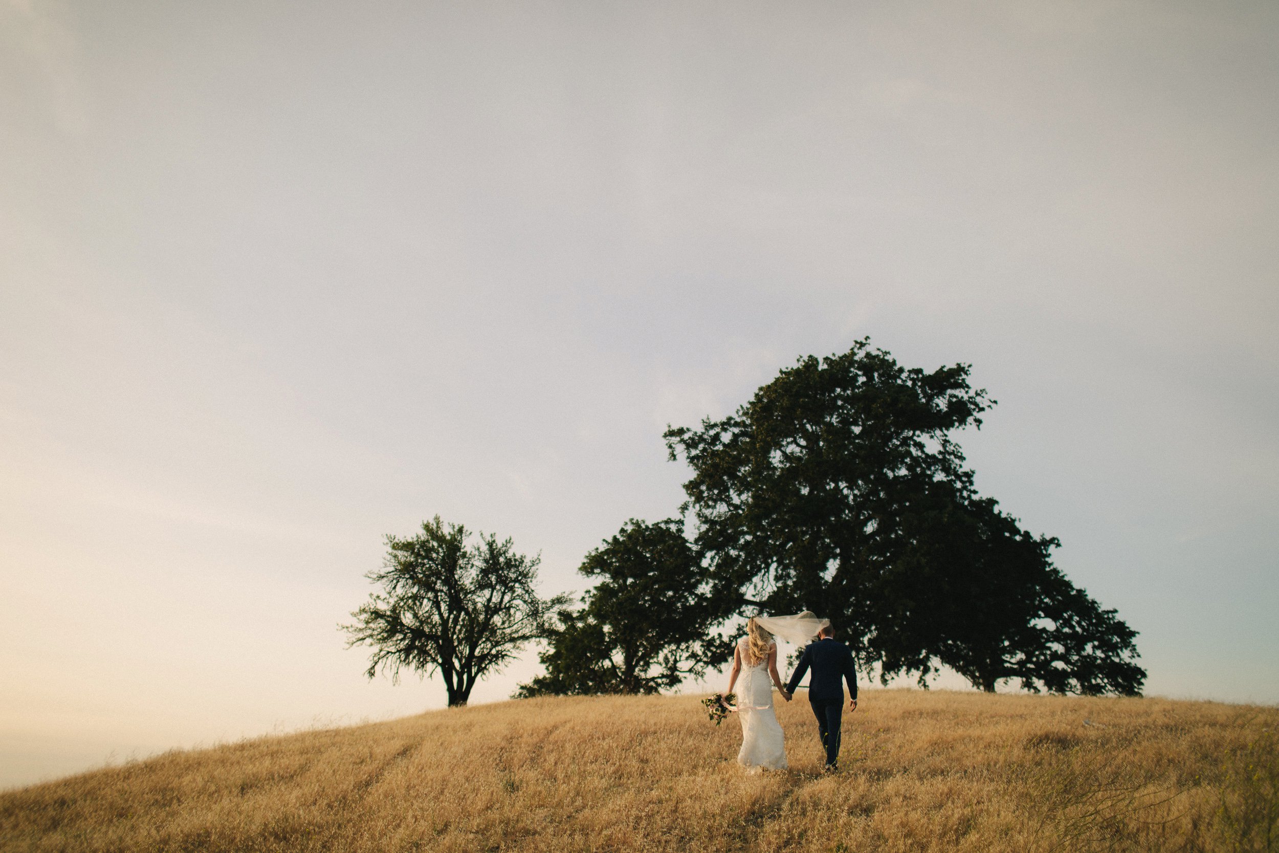 CaliforniaWedding|LindenCloverPhotography_0088.jpg