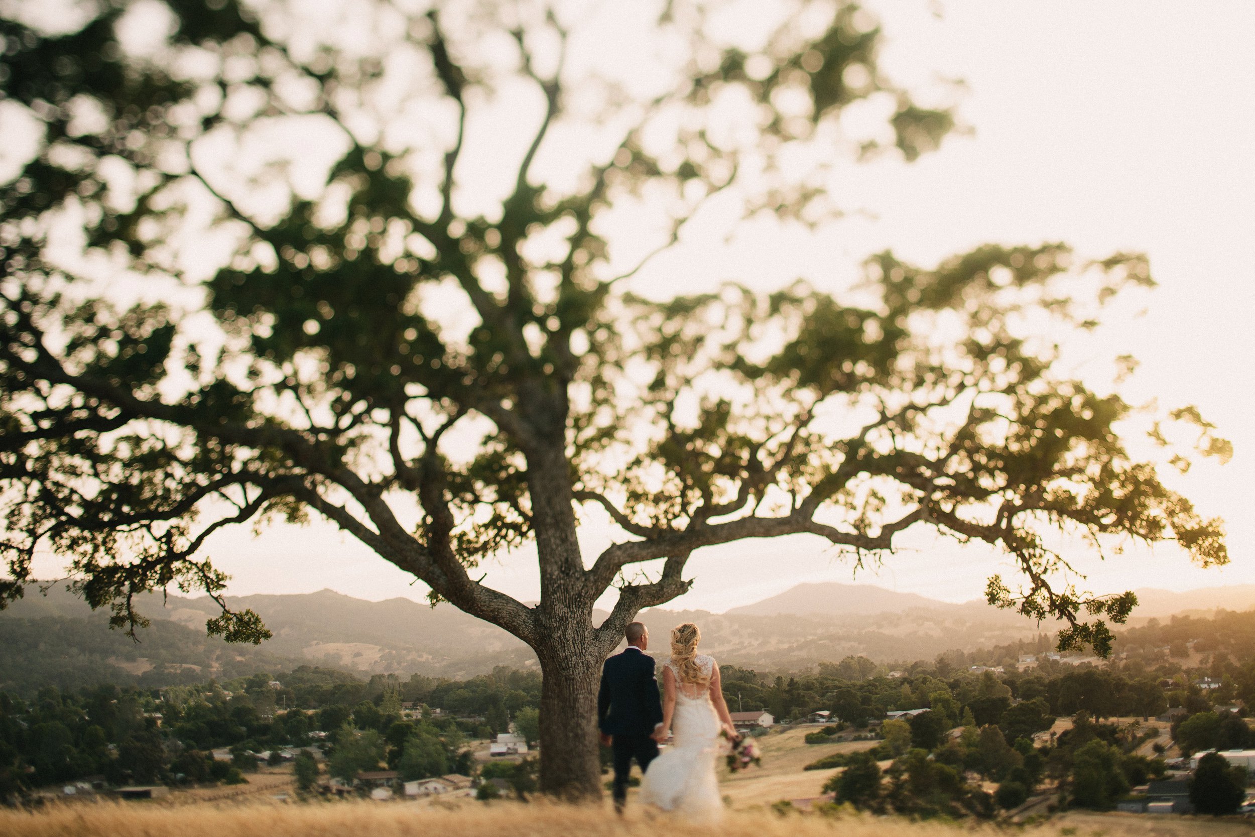 CaliforniaWedding|LindenCloverPhotography_0111.jpg