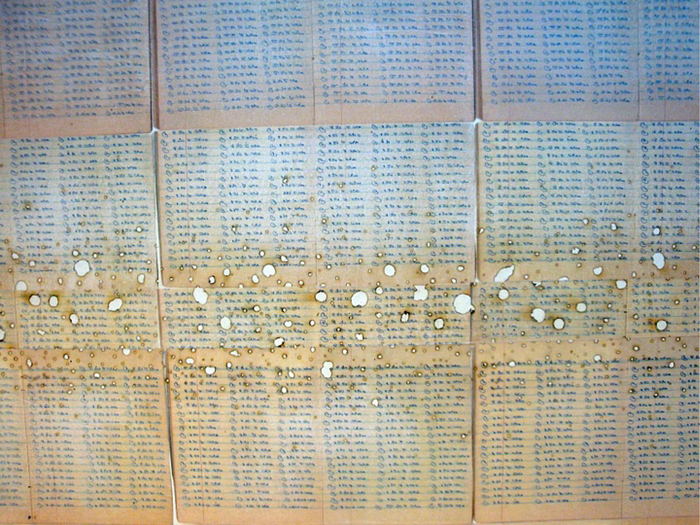 Raja_Chant_4Detail.jpg