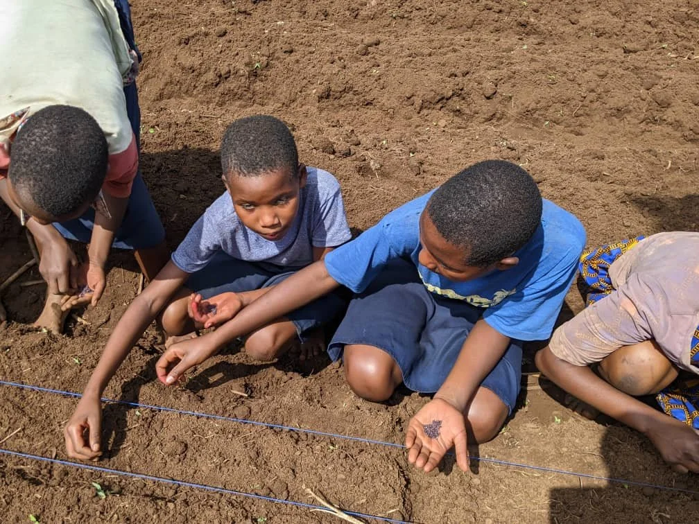 Rwanda Education Assistance Project-Modern Farming