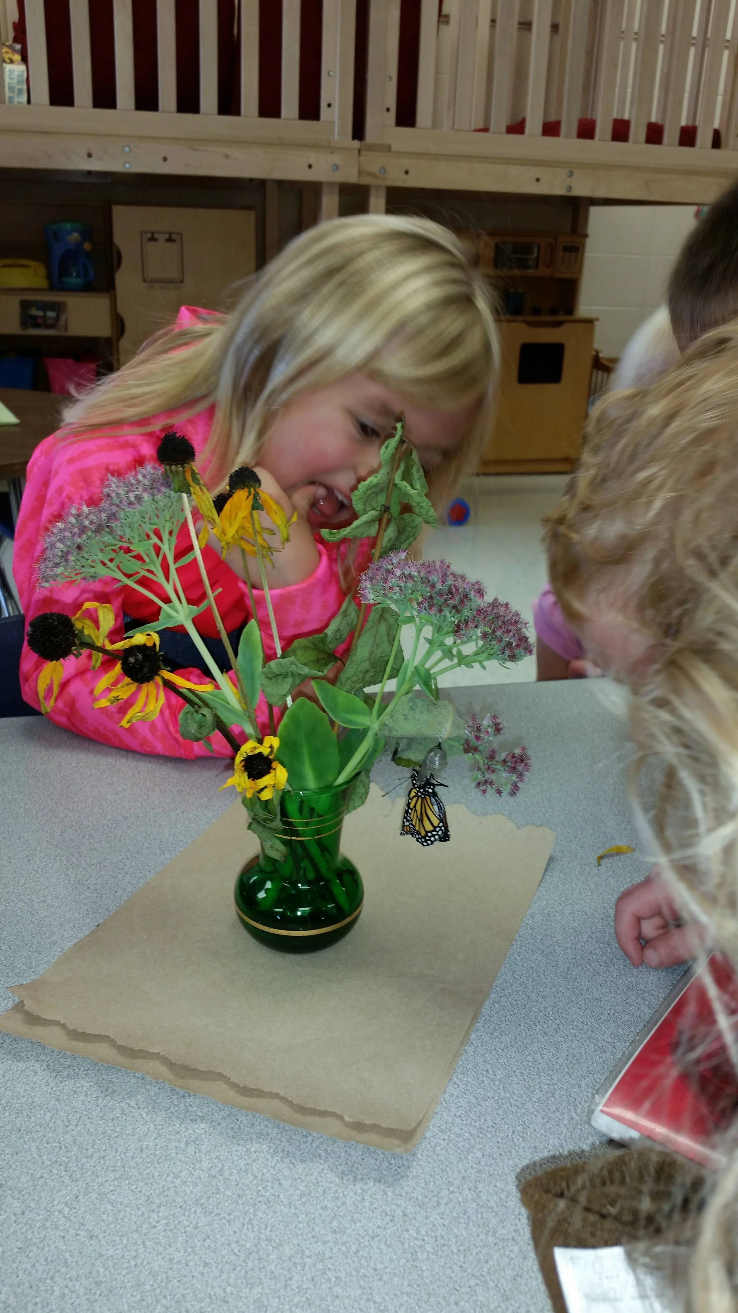 The cocoon hatched and out came a beautiful butterfly!