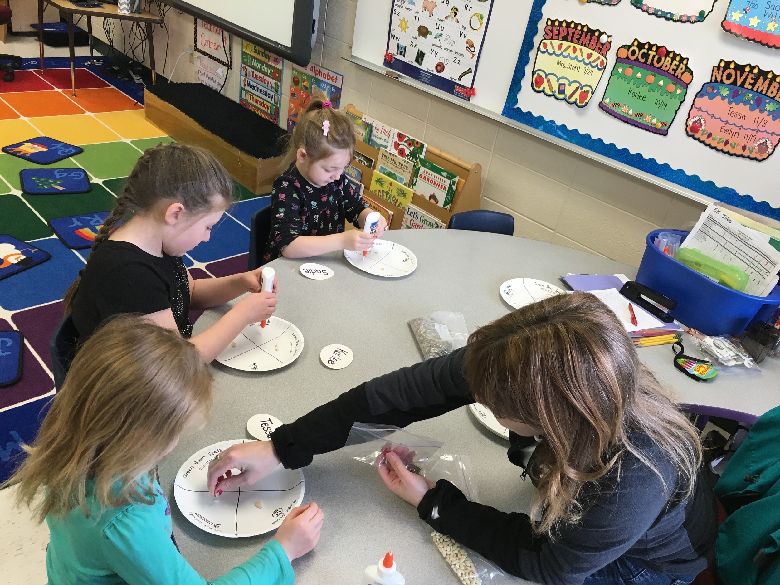 Sorting seeds