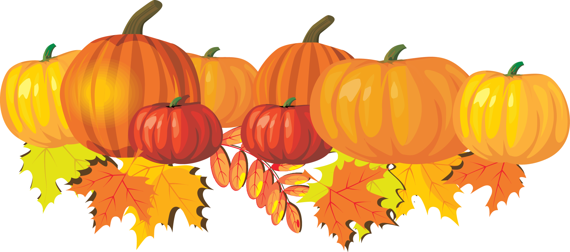 Harvest of the Month : The featured vegetable for October is pumpkin. Find the recipe of the month on the Nutrition website .